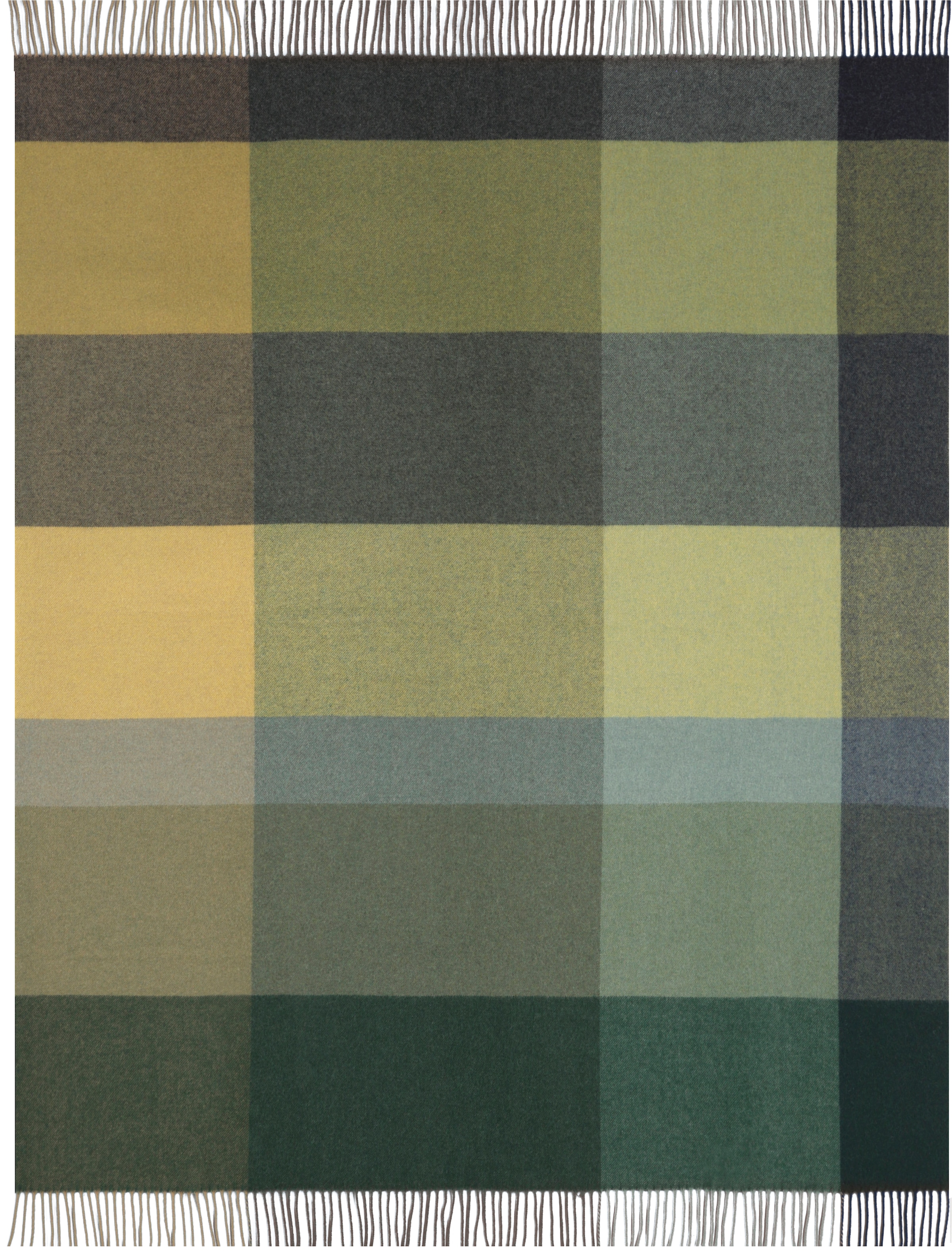 Biederlack Plaid »Soft Impression«, im klassischen Karodesign