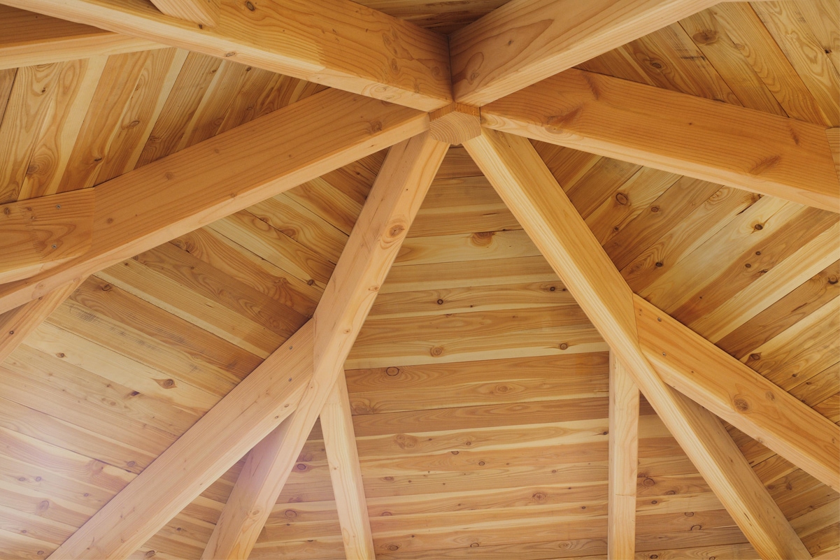 Skanholz Holzpavillon »Colmar 2«, Douglasie, 333 x 288 cm