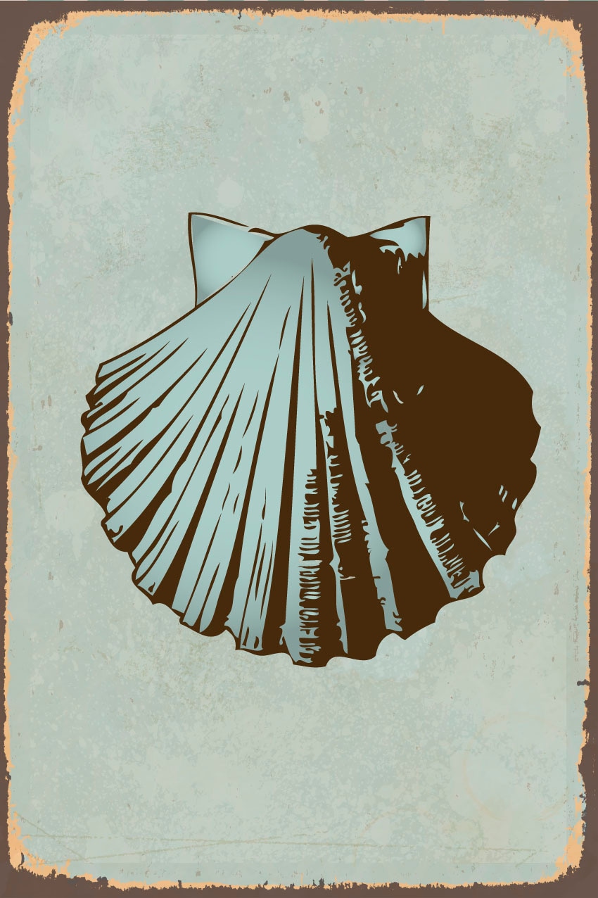 queence Metallbild »Seashell«, Wassertiere, (1 St.), Stahlschild, Blechschild, Retro, Muschel