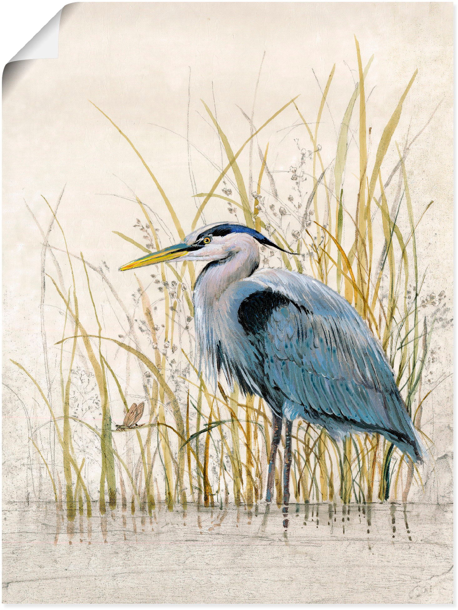 Artland Wandbild »Reiherschutzgebiet II«, Vögel, (1 St.), als Alubild, Leinwandbild,... kaufen