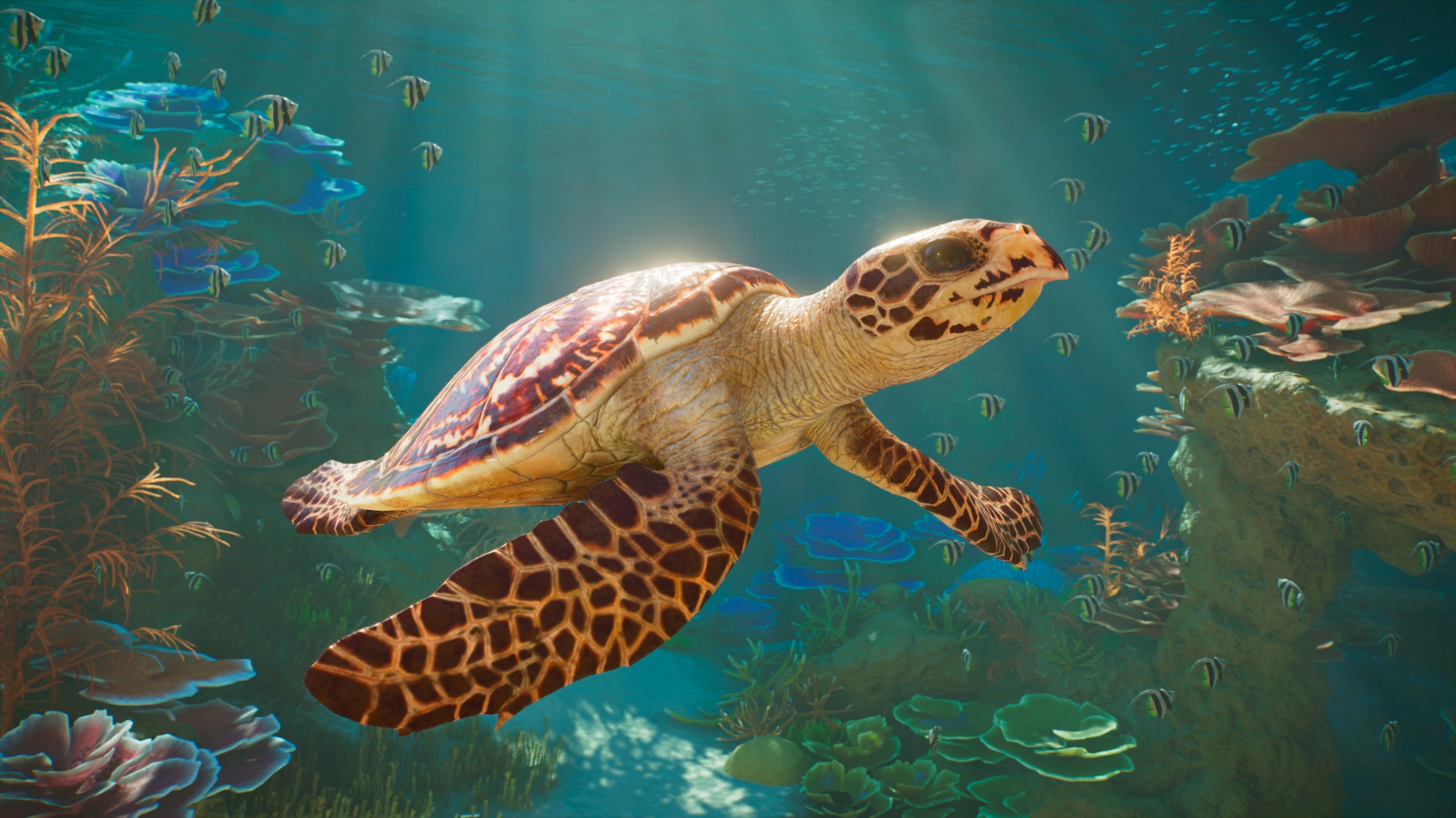 Fireshine Games Spielesoftware »Planet Zoo 2« Xbox Series X