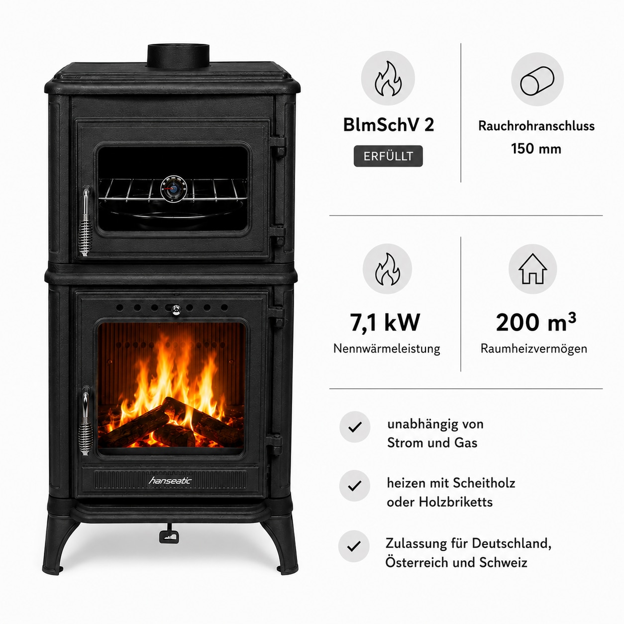 Hanseatic Kaminofen »Castor 81« Großer Feuerraum