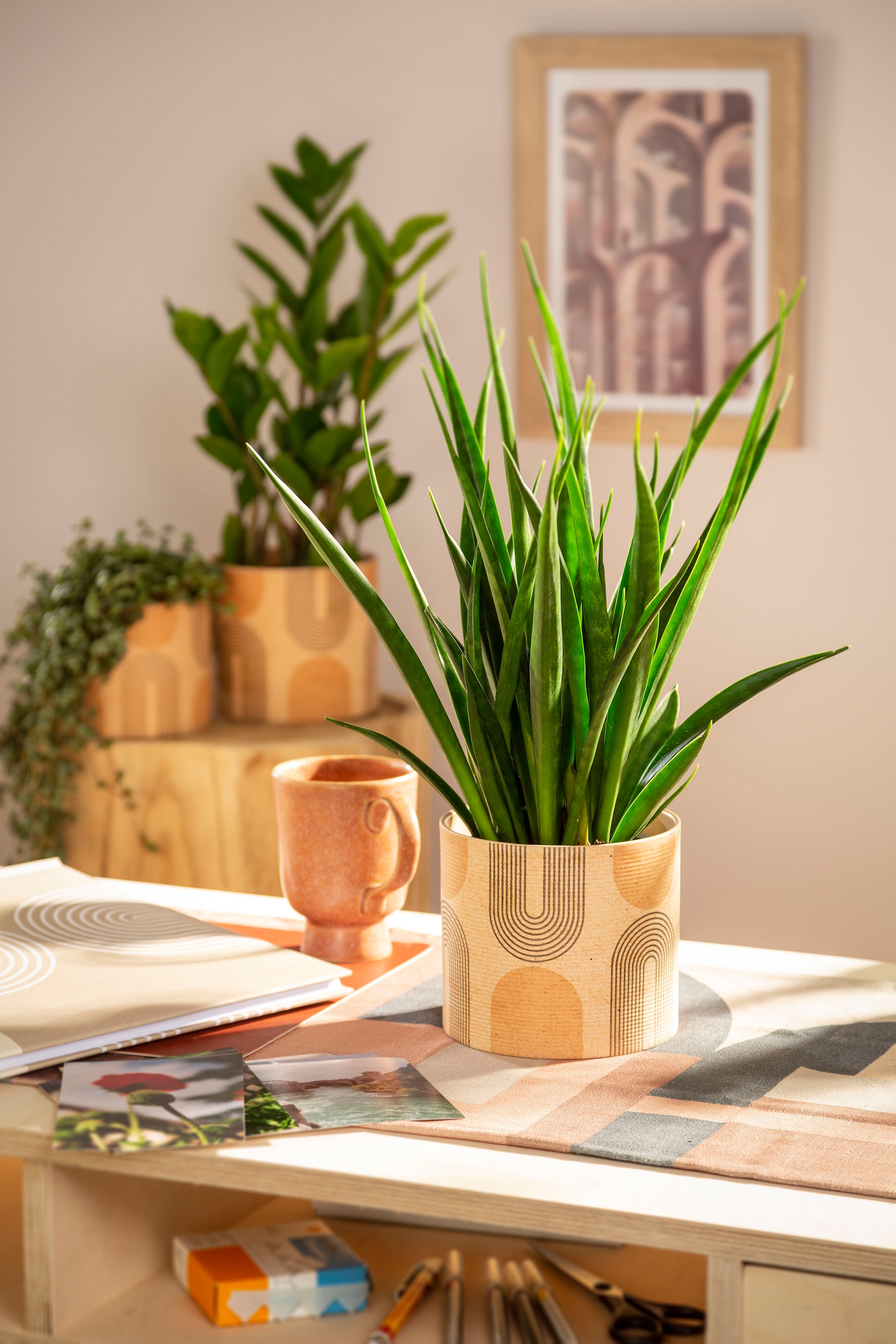 Scheurich Blumentopf »828/19 arcade«