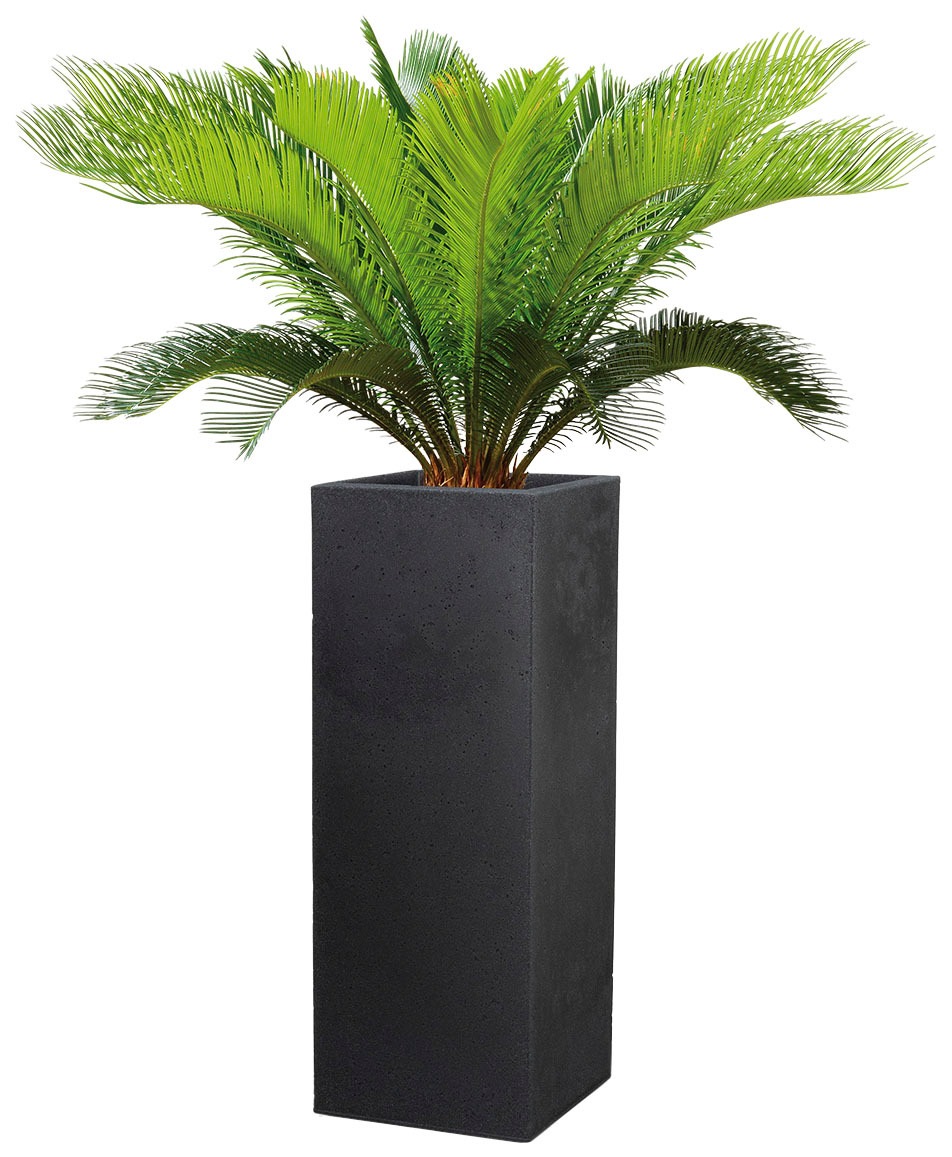 Scheurich Blumentopf »70/240 C-CUBE HIGH«