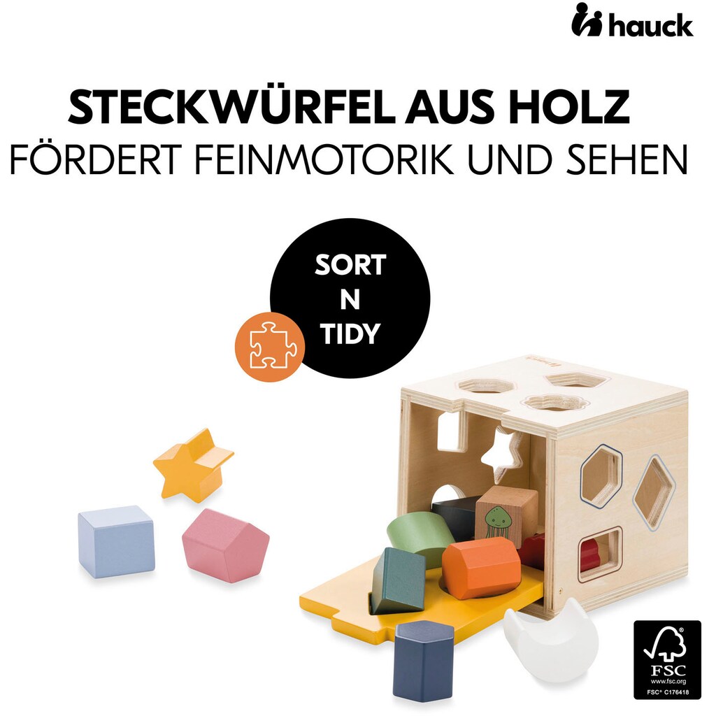 Hauck Steckspielzeug »Sort N Tidy«