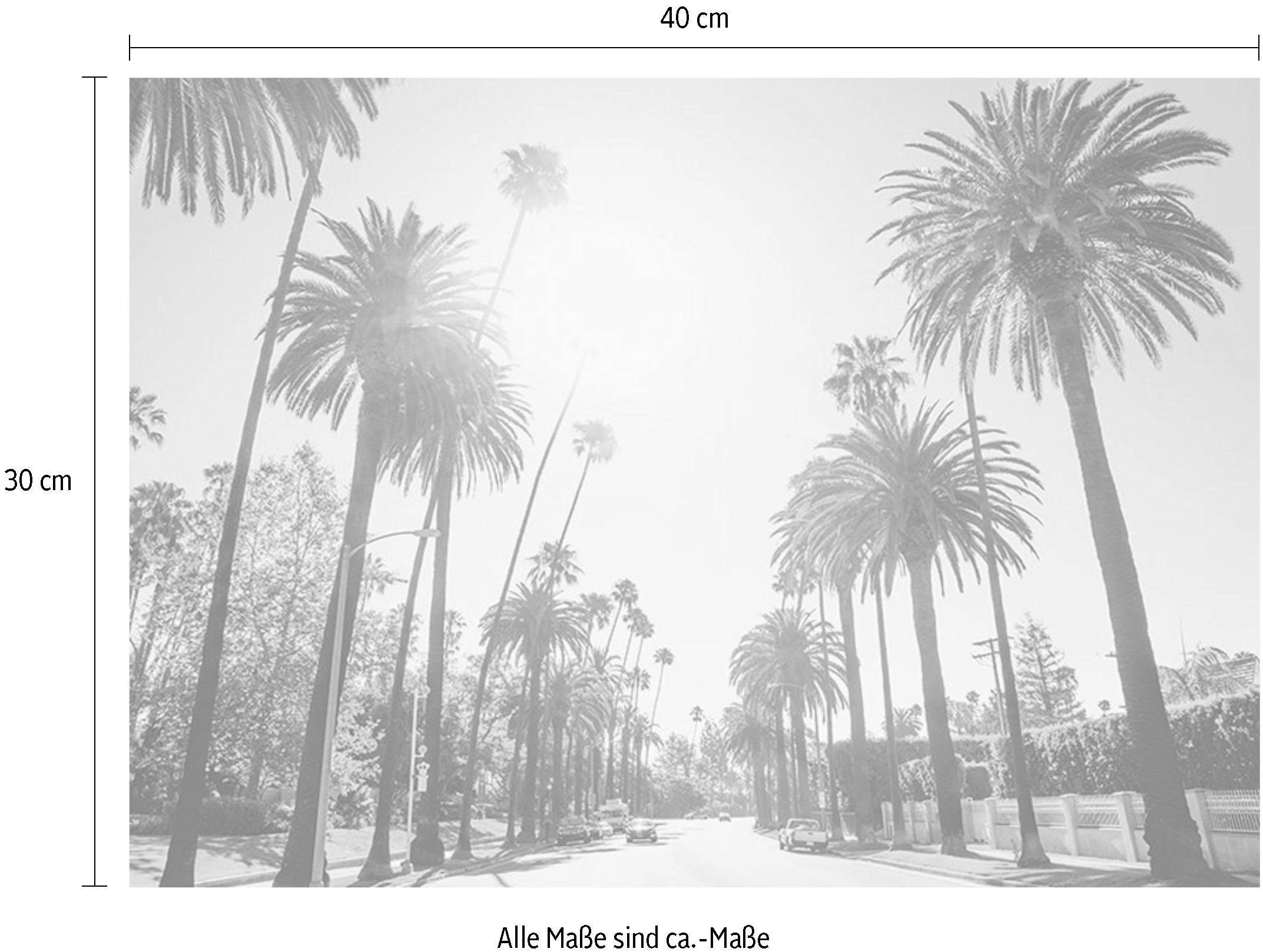 Komar Bild »Palm Alley«, Städte, (1 St.), Wandbild zur Dekoration - ohne Rahmen