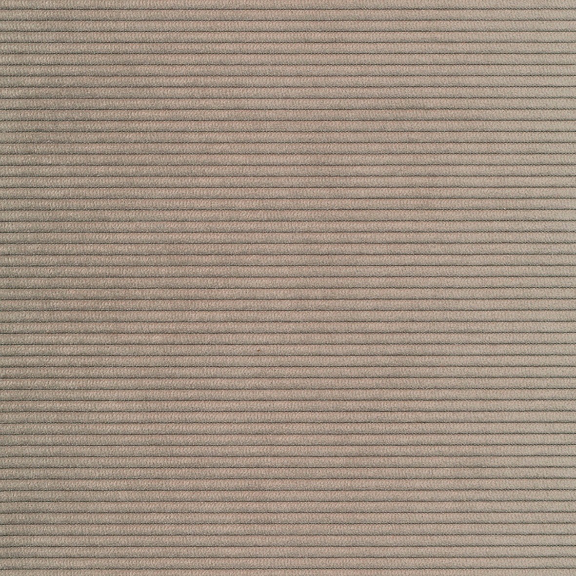 Beige 318, Cordufine