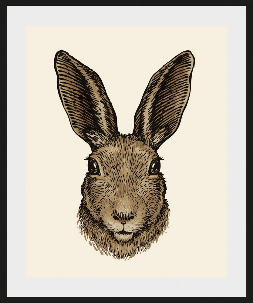 queence Bild »Agus«, Hase, (1 St.), 30x40, mit Rahmen günstig online kaufen