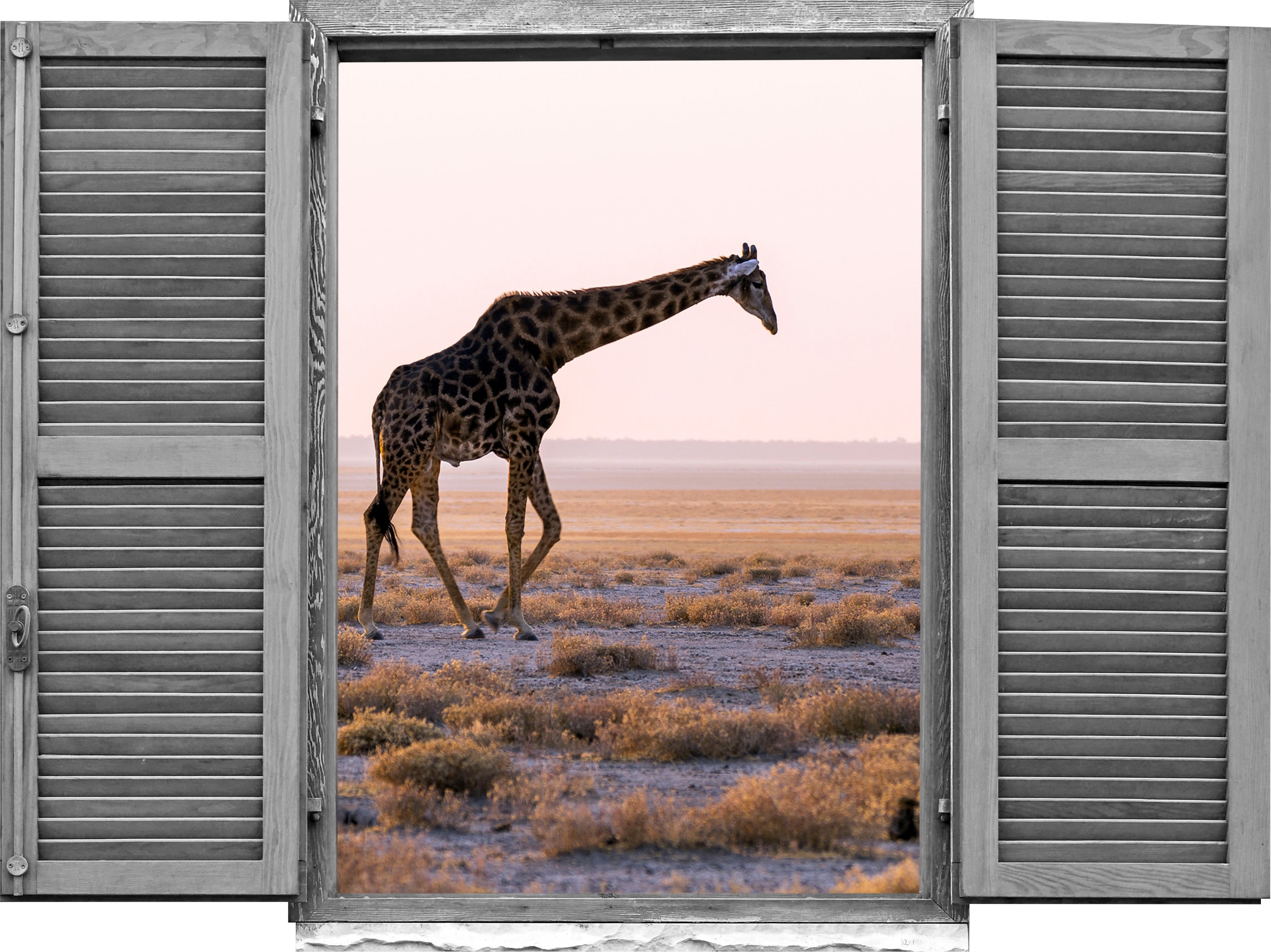 queence Wandtattoo »Giraffe« Wandsticker, Wandbild, selbstklebend, 3D, Fens günstig online kaufen
