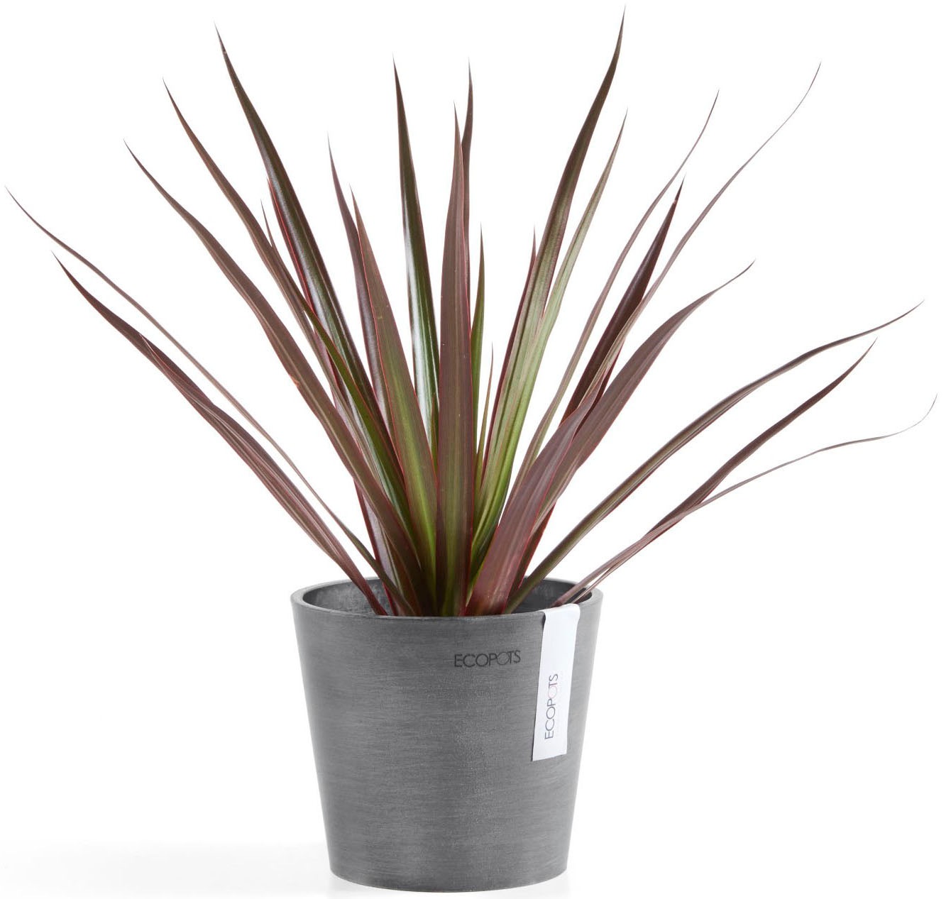 ECOPOTS Blumentopf »AMSTERDAM Mini Grey« BxTxH: 13x13x11,4 cm