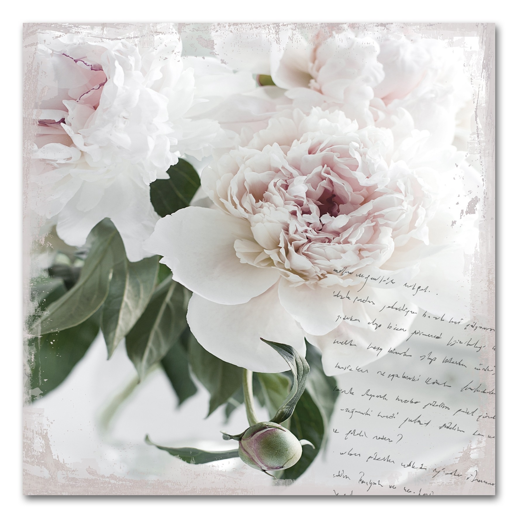 queence Acrylglasbild »Poesie & Rose«, Blumen-Blumenbilder-Pflanzen-Sprüche günstig online kaufen