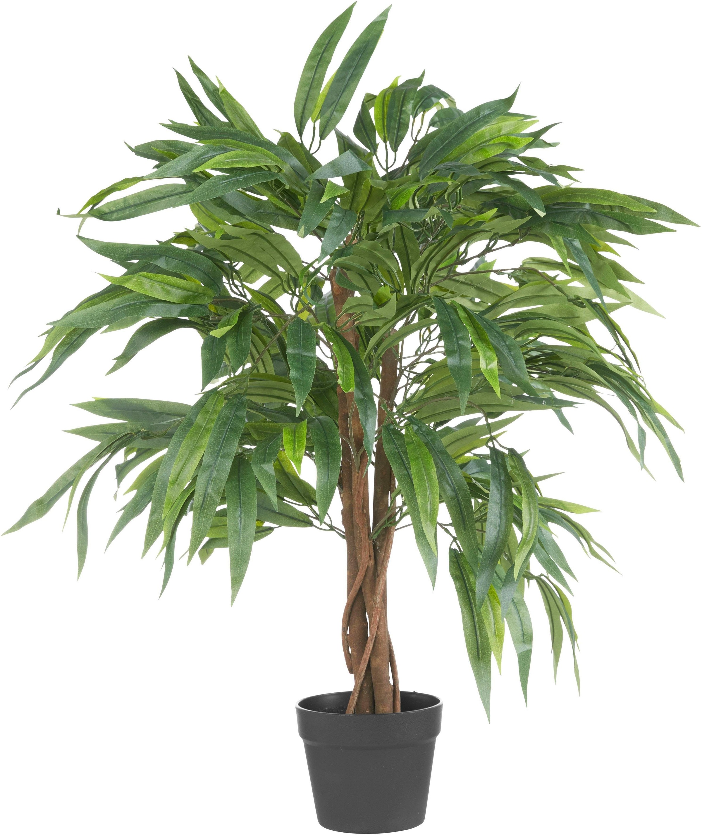 Creativ green Kunstpflanze »Weeping-Ficus«