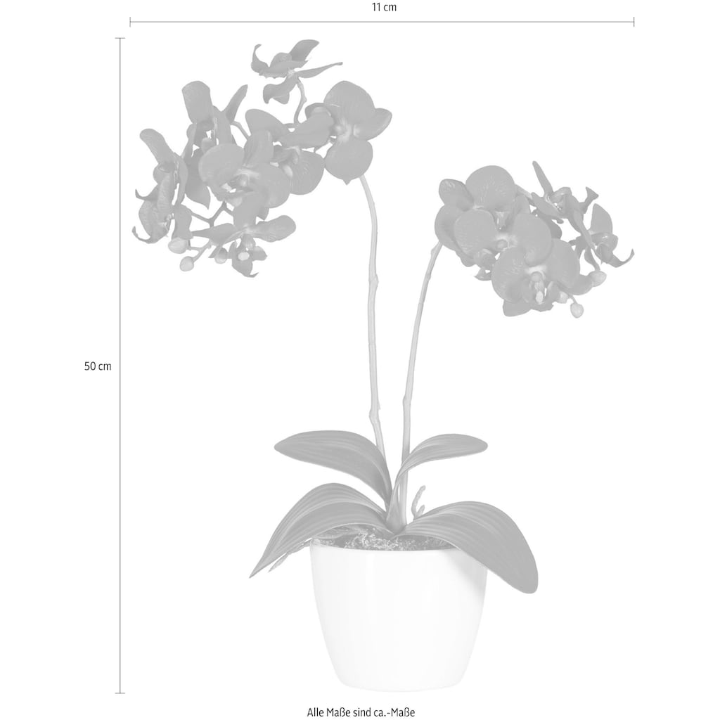Creativ green Kunstpflanze »Phalaenopsis«
