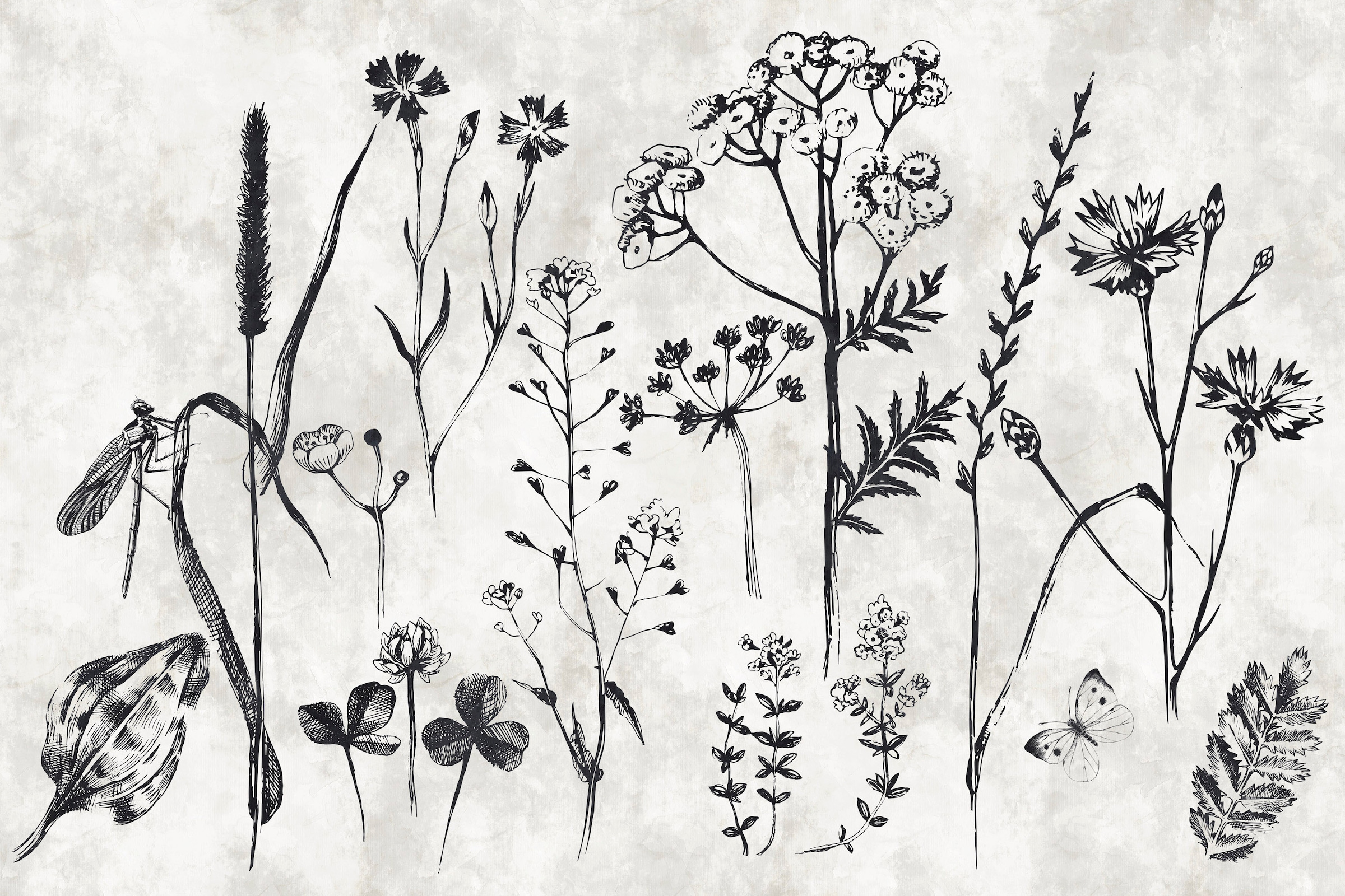 A.S. Création Leinwandbild »sketchpad« Gemälde | Kunst 1 Stk. tlg. Schwarz-Weiß Zeichnung Floral Keilrahmen Leinwand-Bild Wohnzimmer Wand