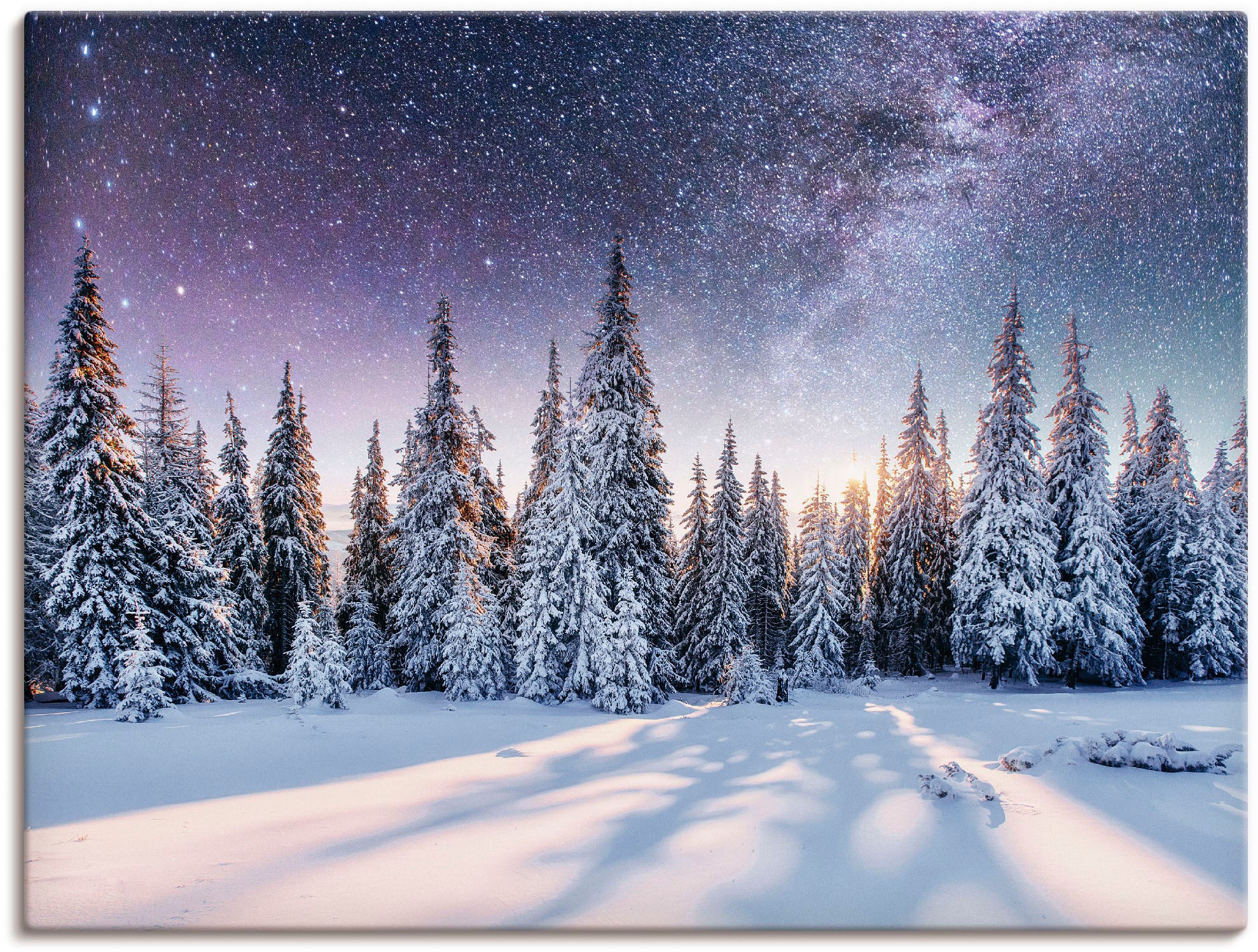 Artland Wandbild "Tannenwald im Schnee vorm Sternenhimmel", Berge & Alpenbi günstig online kaufen