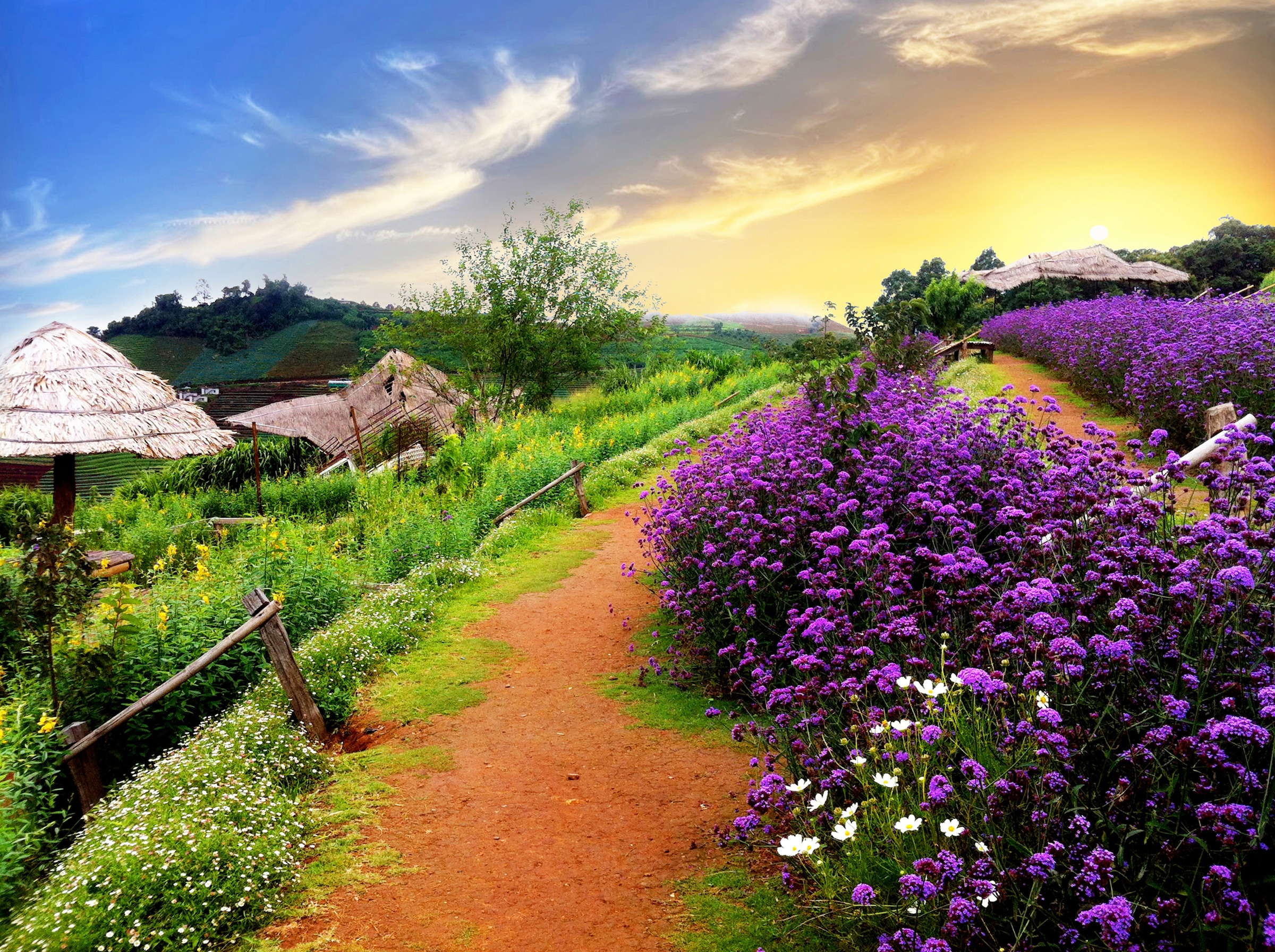 Papermoon Fototapete »BUNTE BLUMEN-THAILAND PFLANZE DEKOR NATUR BLÜTE MUSTE günstig online kaufen