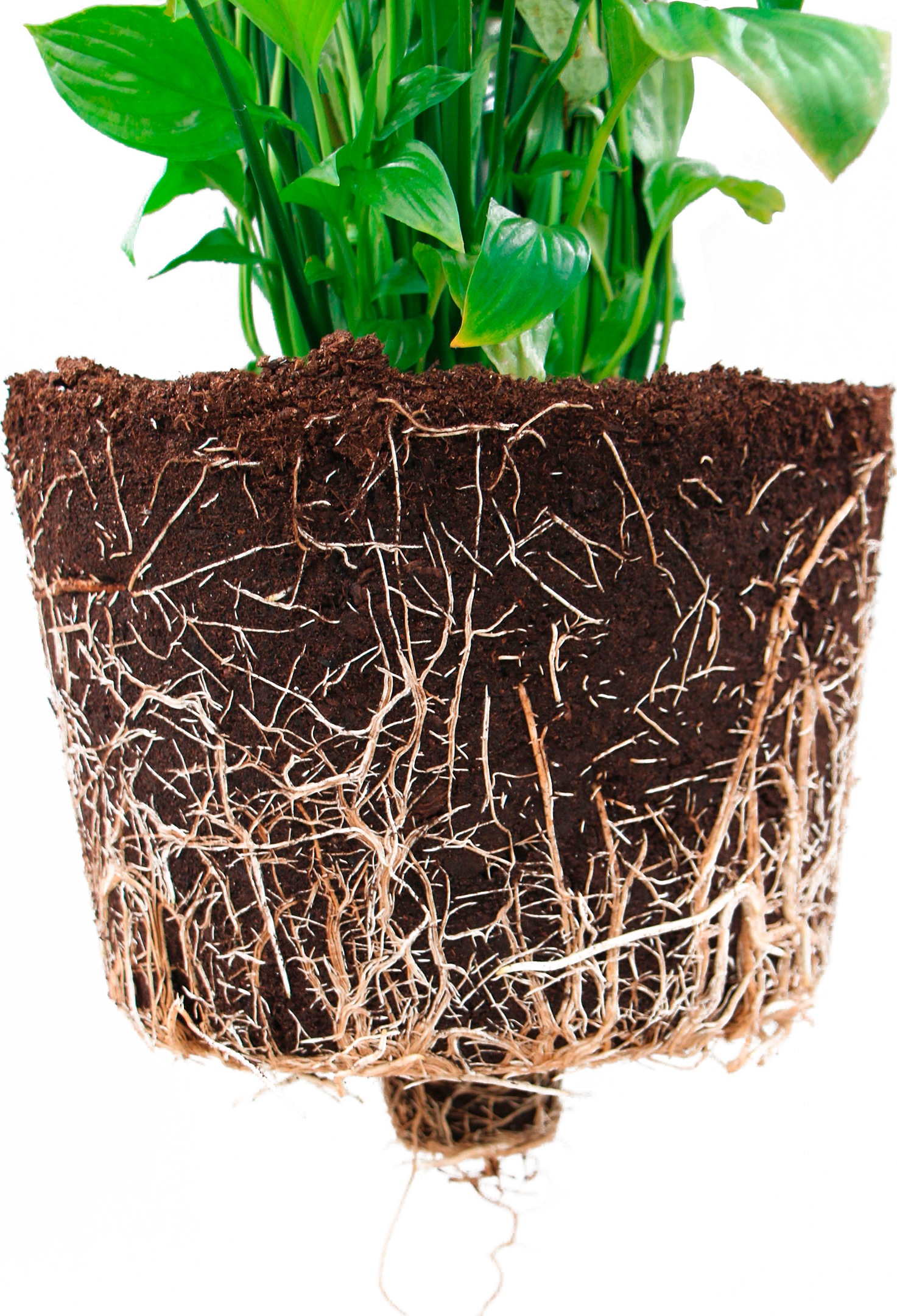ECOPOTS Blumentopf »Brussels 35 Weißgrau«, für innen und außen: frostsicher, bruchsicher und lichtbeständig