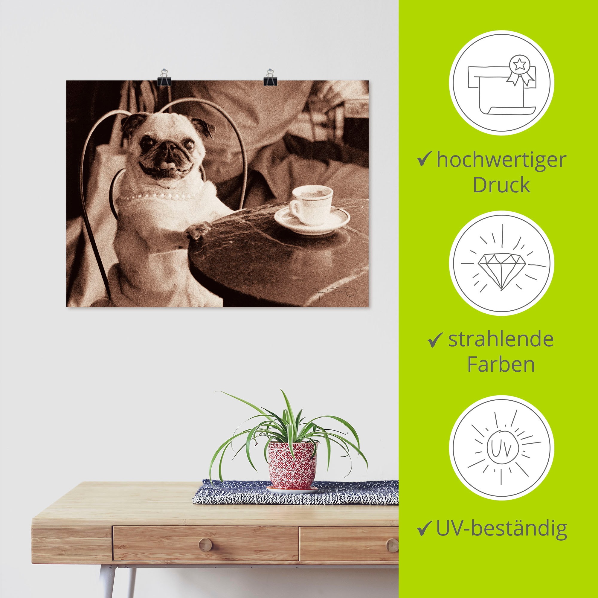 Artland Wandbild »Kaffee Mops«, Haustiere, (1 St.), als Leinwandbild, Poster, Wandaufkleber in verschied. Größen