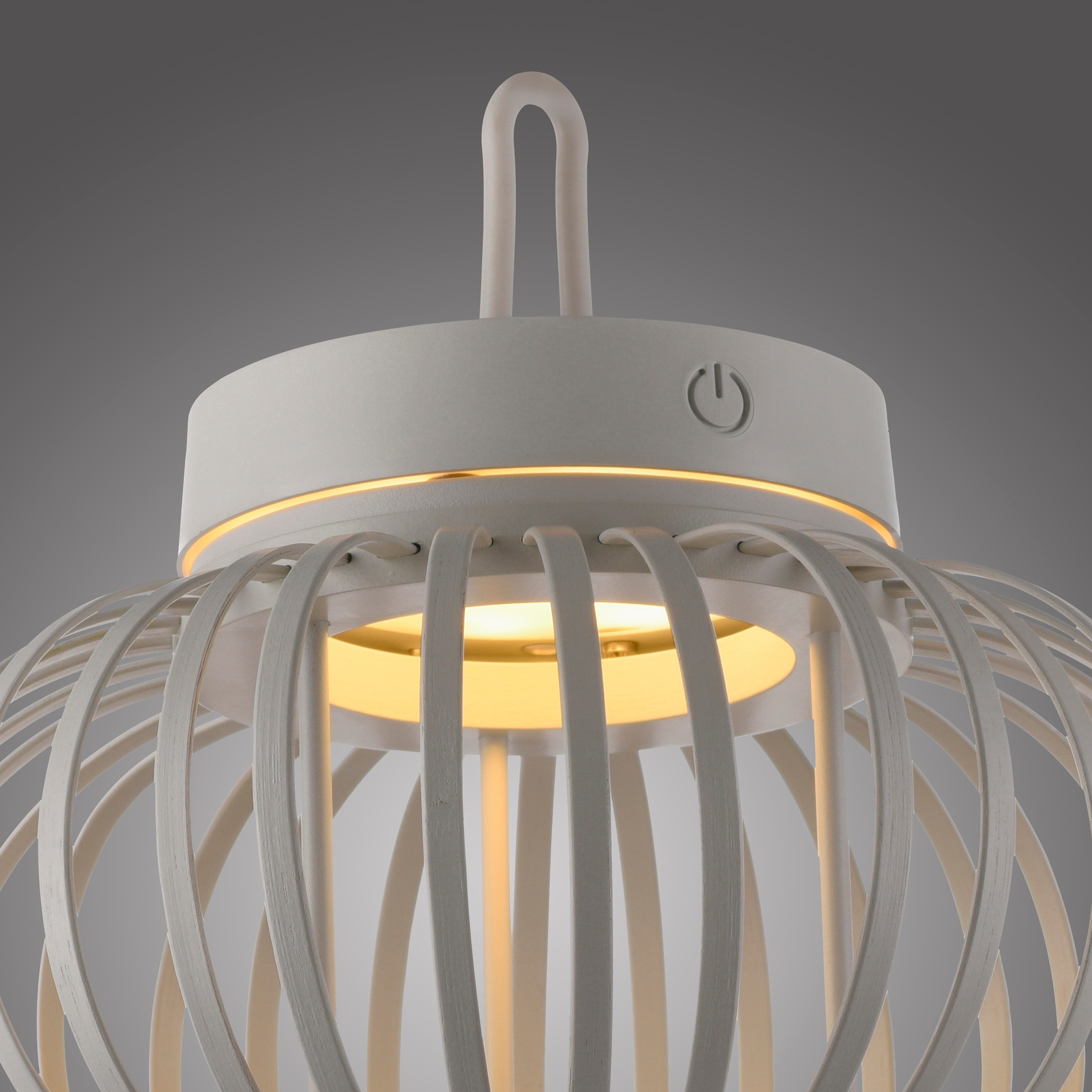 JUST LIGHT Pendelleuchte »AKUBA«, 1 flammig, Leuchtmittel LED-Modul | LED fest integriert, Akkuleuchte
