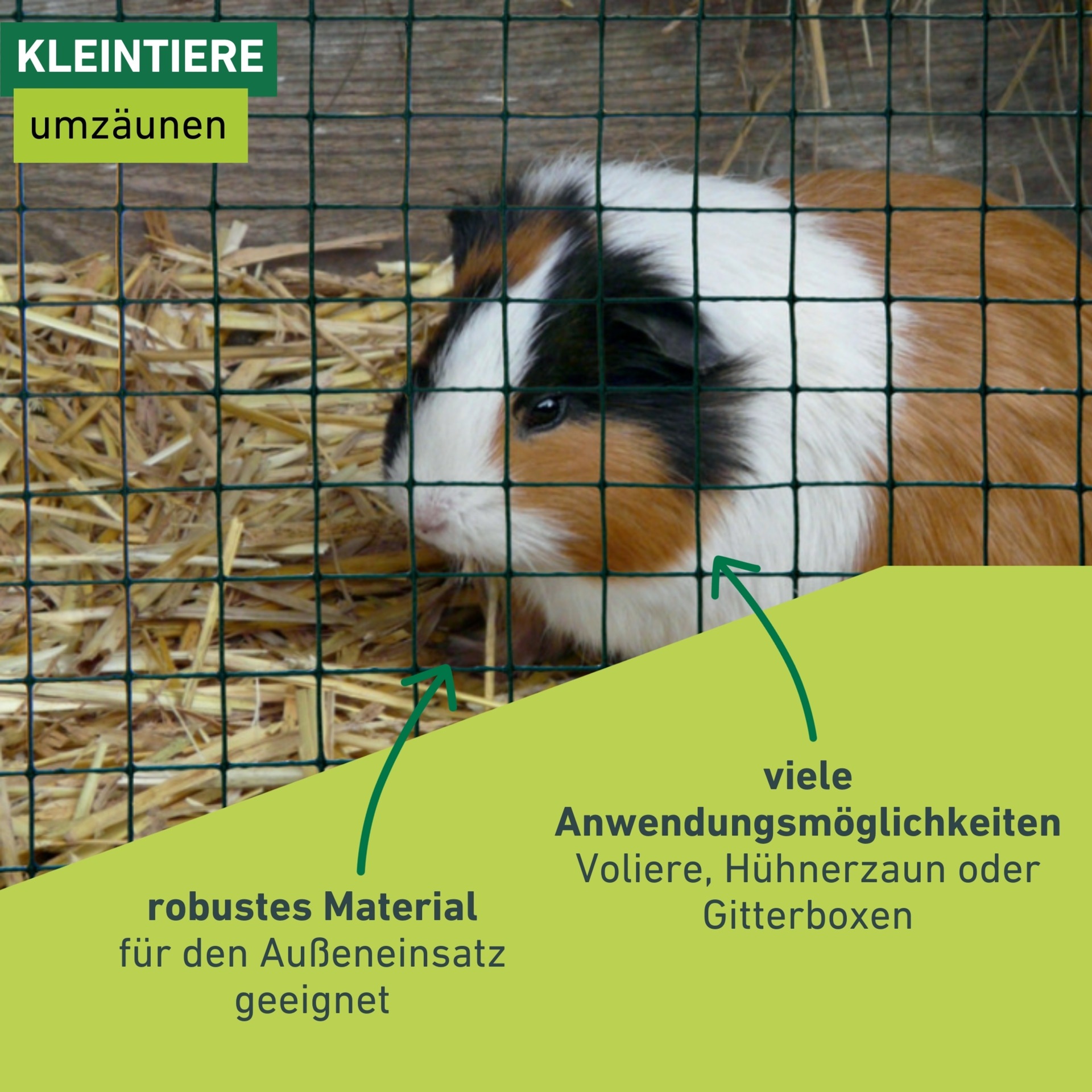 Windhager Voliere »für Tiere und Garten, Drahgitter für den Außenbereich« Stahlgitter erhältlich in unterschiedlichen Größen, grün