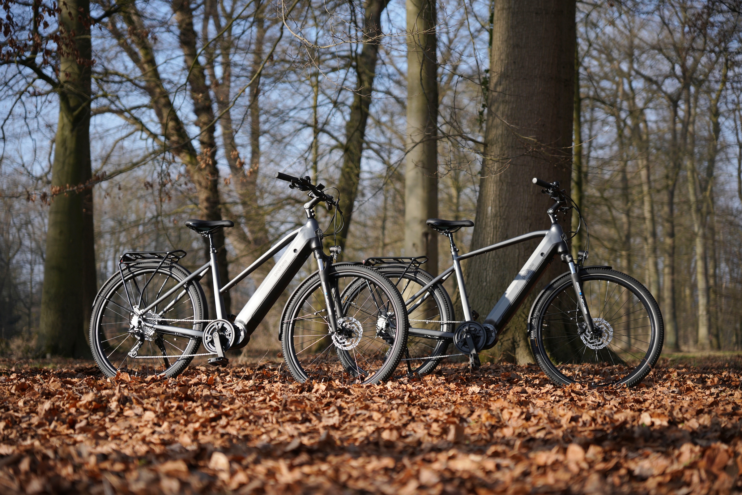 Prophete »Entdecker 5.8« 10 Gang Shimano Deore Schaltwerk Kettenschaltung Mittelmotor 250 W