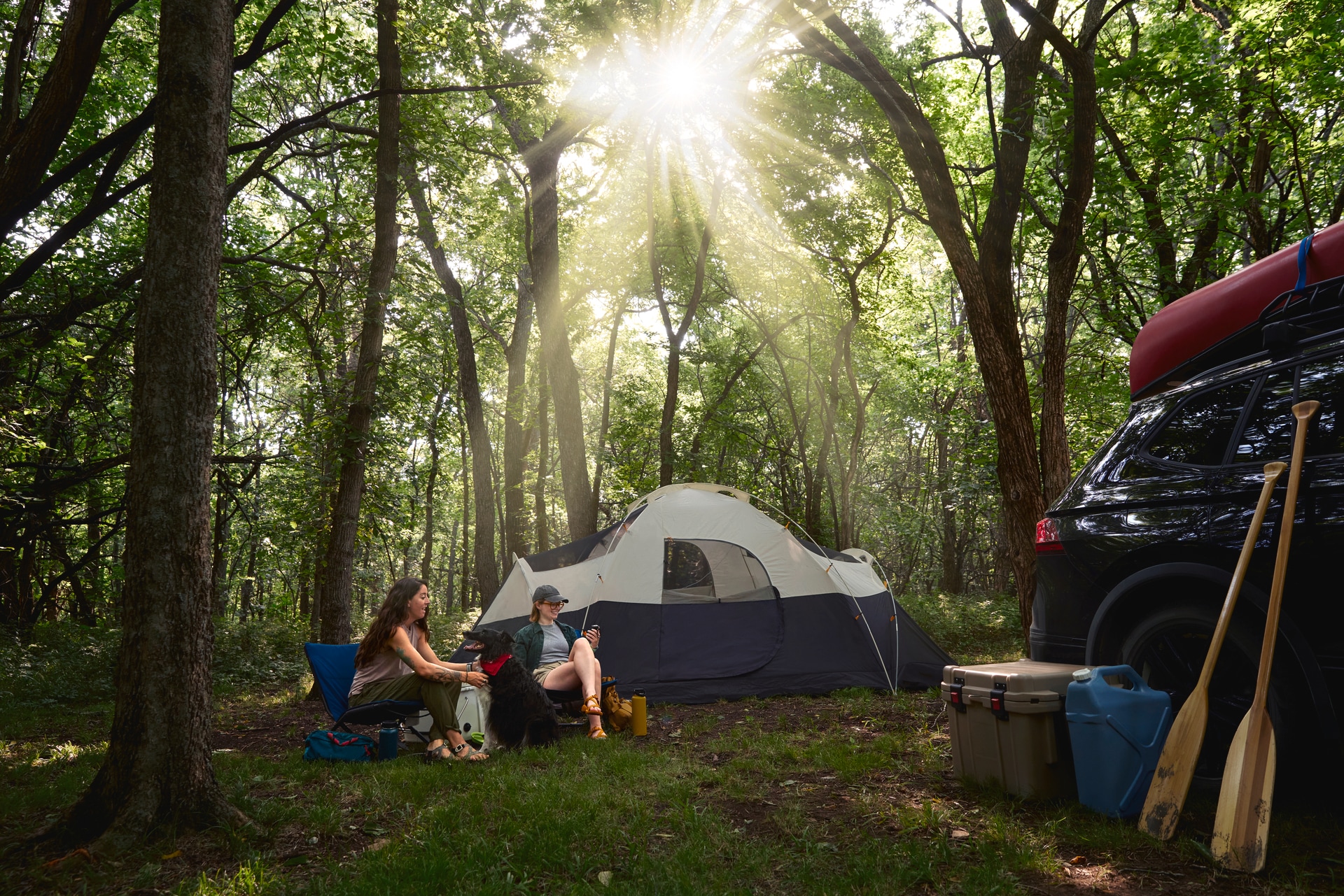 Garmin Wander-Navigationsgerät »eTrex Solar« ( )