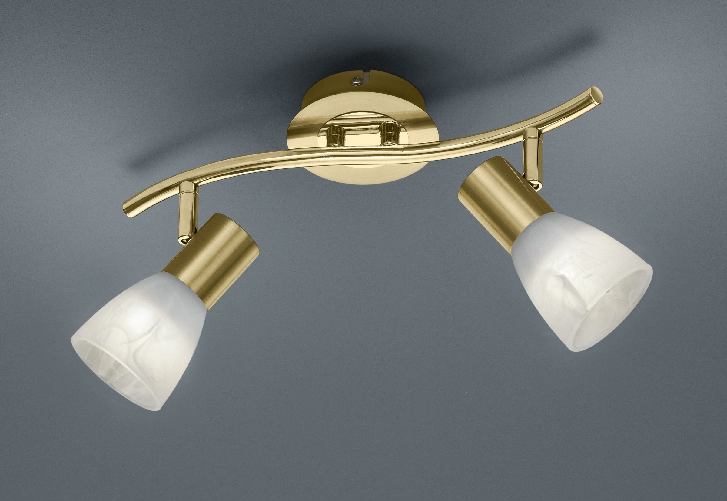 TRIO Leuchten LED Deckenstrahler »LEVISTO«, 2 flammig, Leuchtmittel E14   L günstig online kaufen