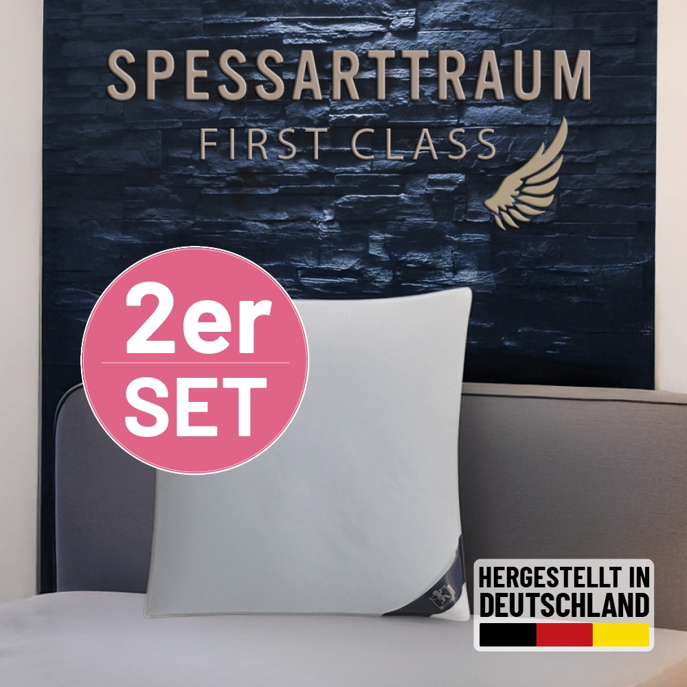 Daunenkissen SPESSARTTRAUM "FIRST CLASS", weiß, B:60cm L:60cm
