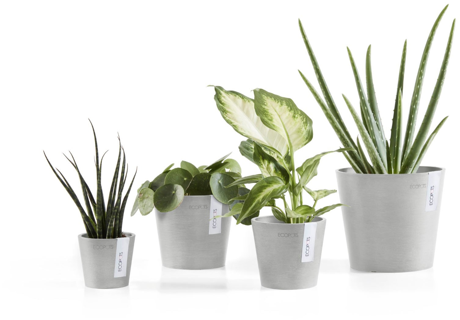 ECOPOTS Blumentopf »AMSTERDAM Mini White Grey« BxTxH: 17x17x14,9 cm