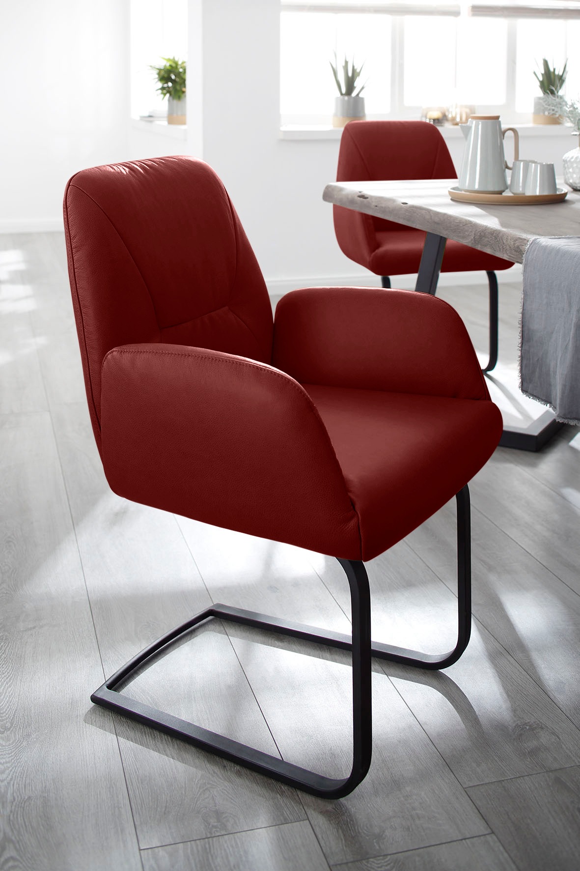 W.SCHILLIG Freischwinger »ole« () Gestell in Schwarz pulverbeschichtet günstig online kaufen