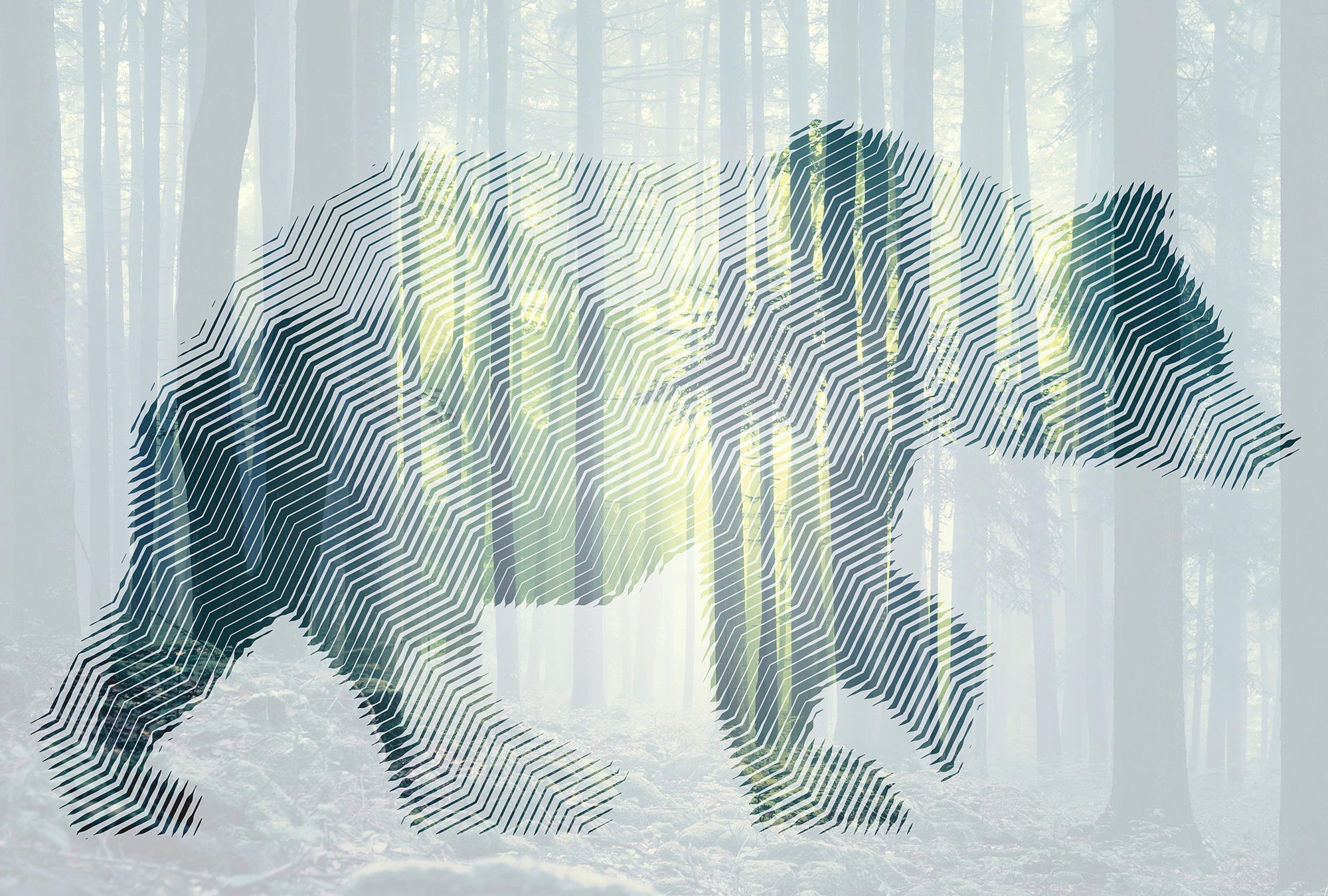 Architects Paper Fototapete »Atelier 47 Bear Forest 1« Wald glatt Vlies, Wa günstig online kaufen