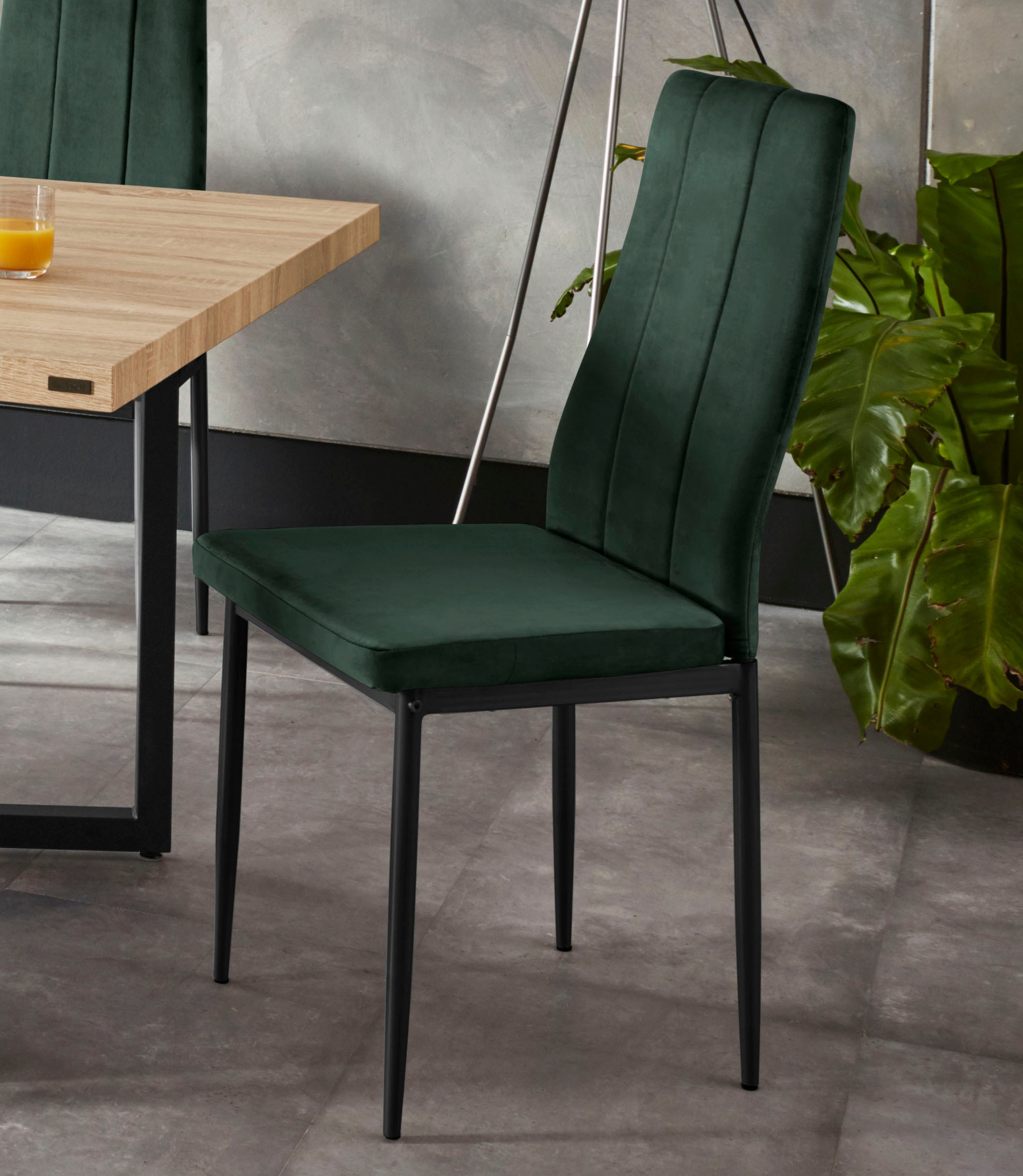 INOSIGN Esszimmerstuhl »Remus«, (Set), 1 St., Samtvelours, im 1er,2er und 4 günstig online kaufen