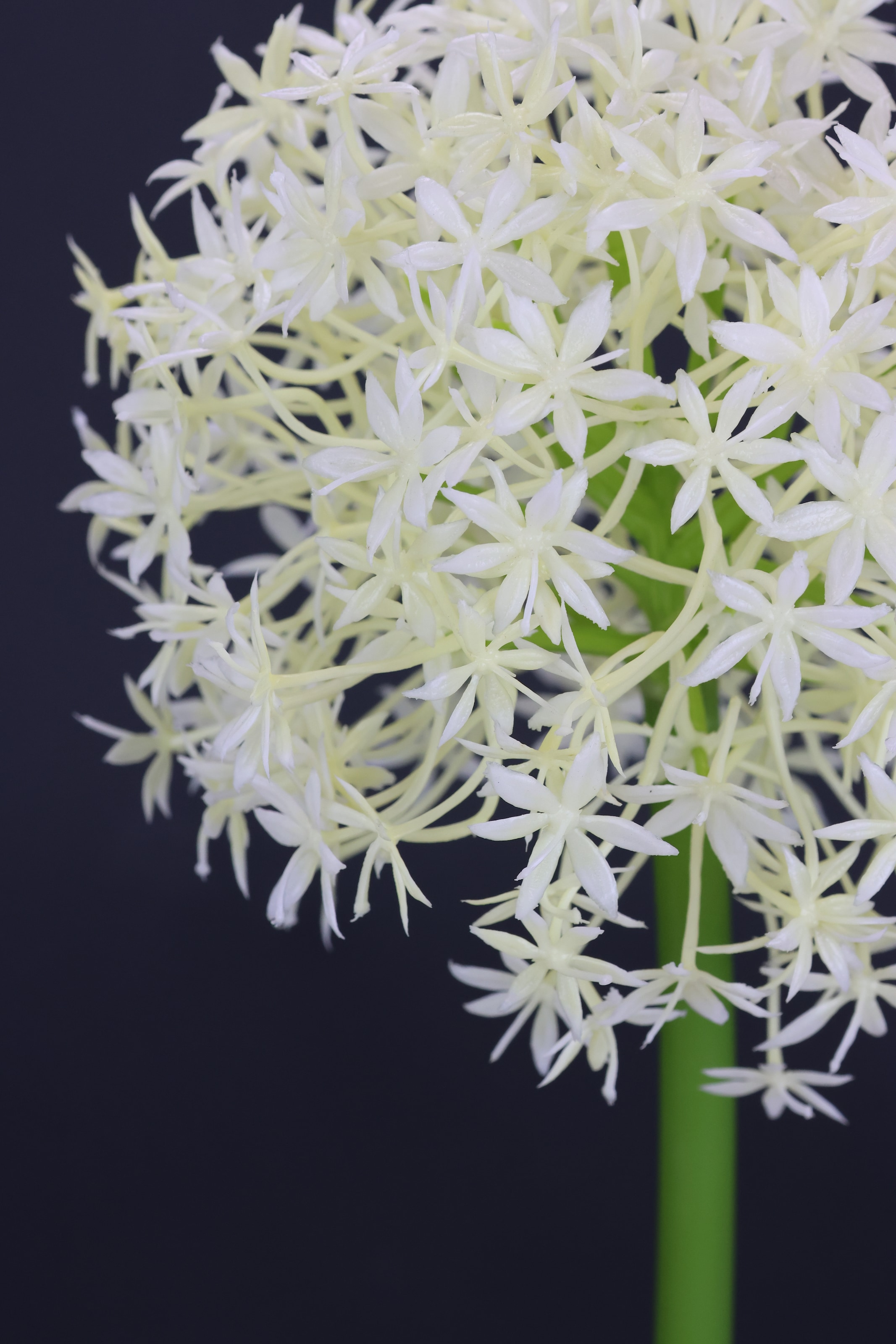 I.GE.A. Kunstblume »Allium Zierlauch«, Stielblume künstliche Blumen, 2er Set