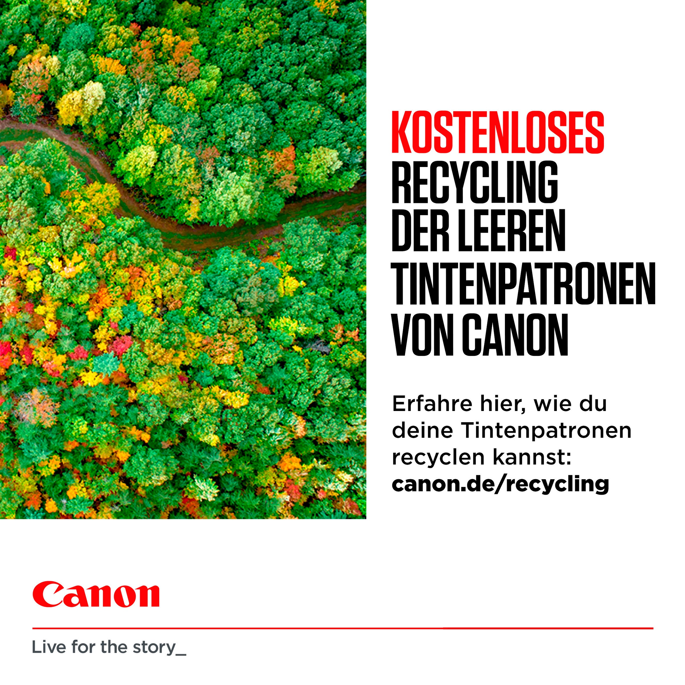Canon Tintenpatrone »GI-55BK«