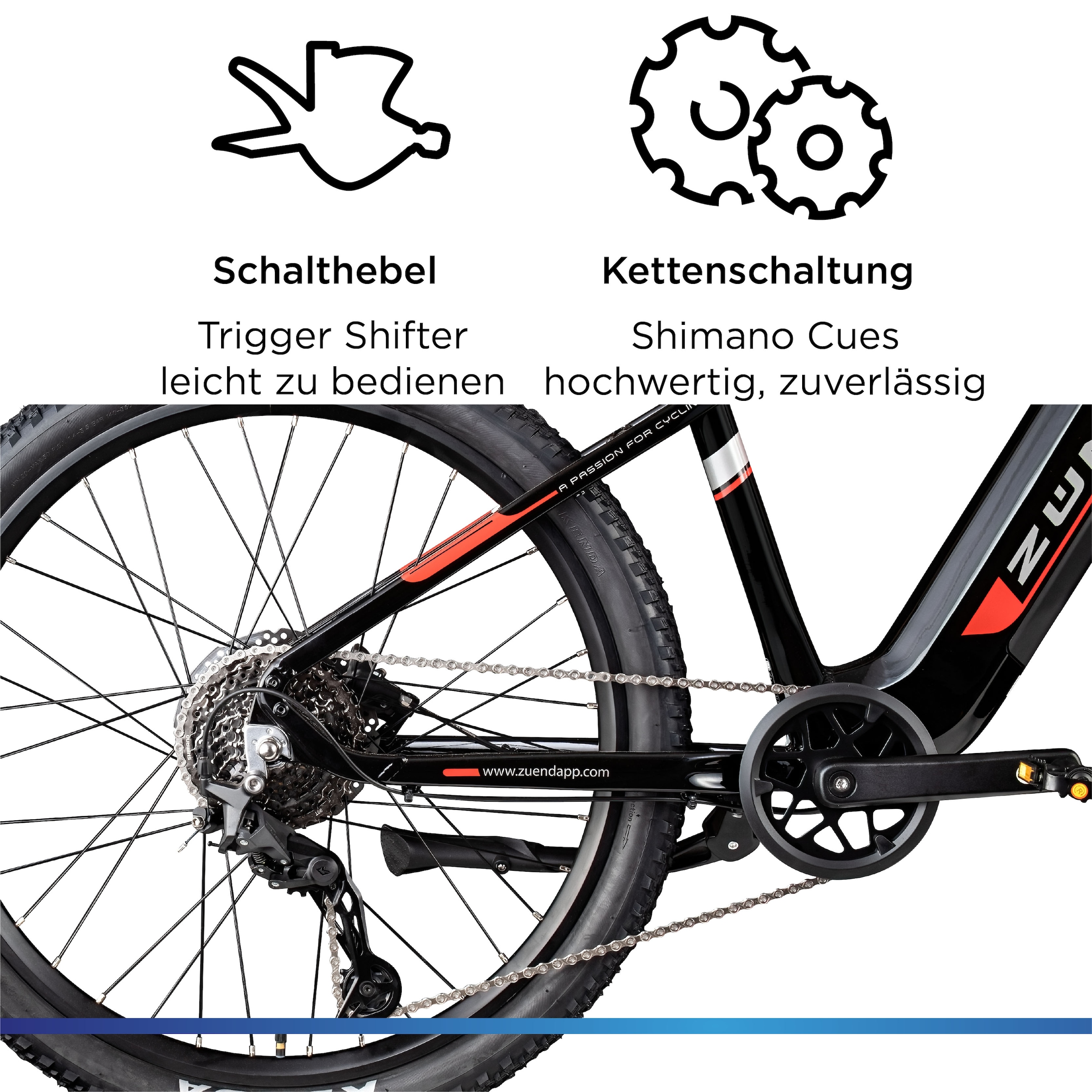 Zündapp »Z898« 10 Gang Kettenschaltung Heckmotor 250 W Pedelec, Elektrofahrrad für Damen u. Herren, MTB