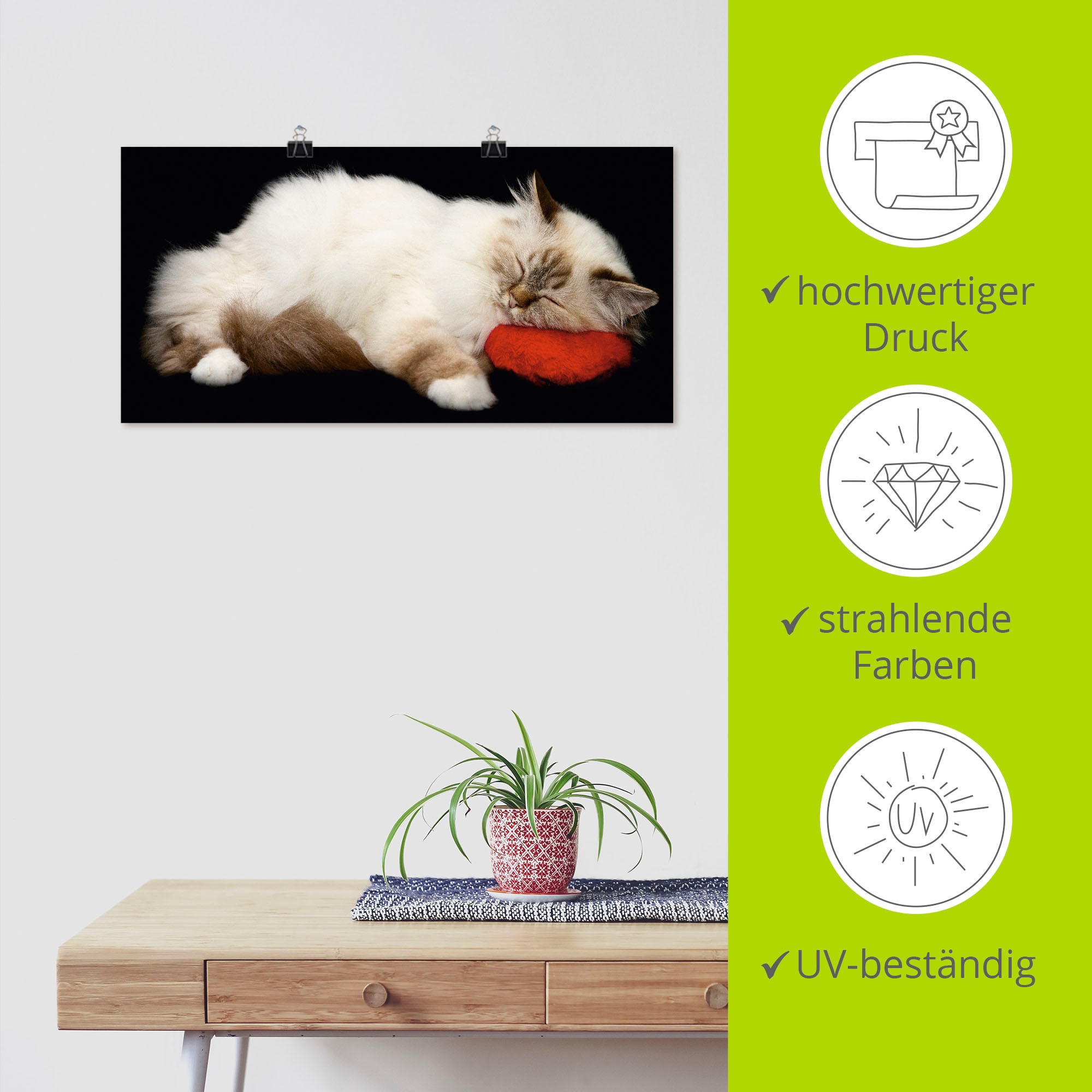 Artland Wandbild »Müde Katze«, Haustiere, (1 St.), als Leinwandbild, Poster, Wandaufkleber in verschied. Größen