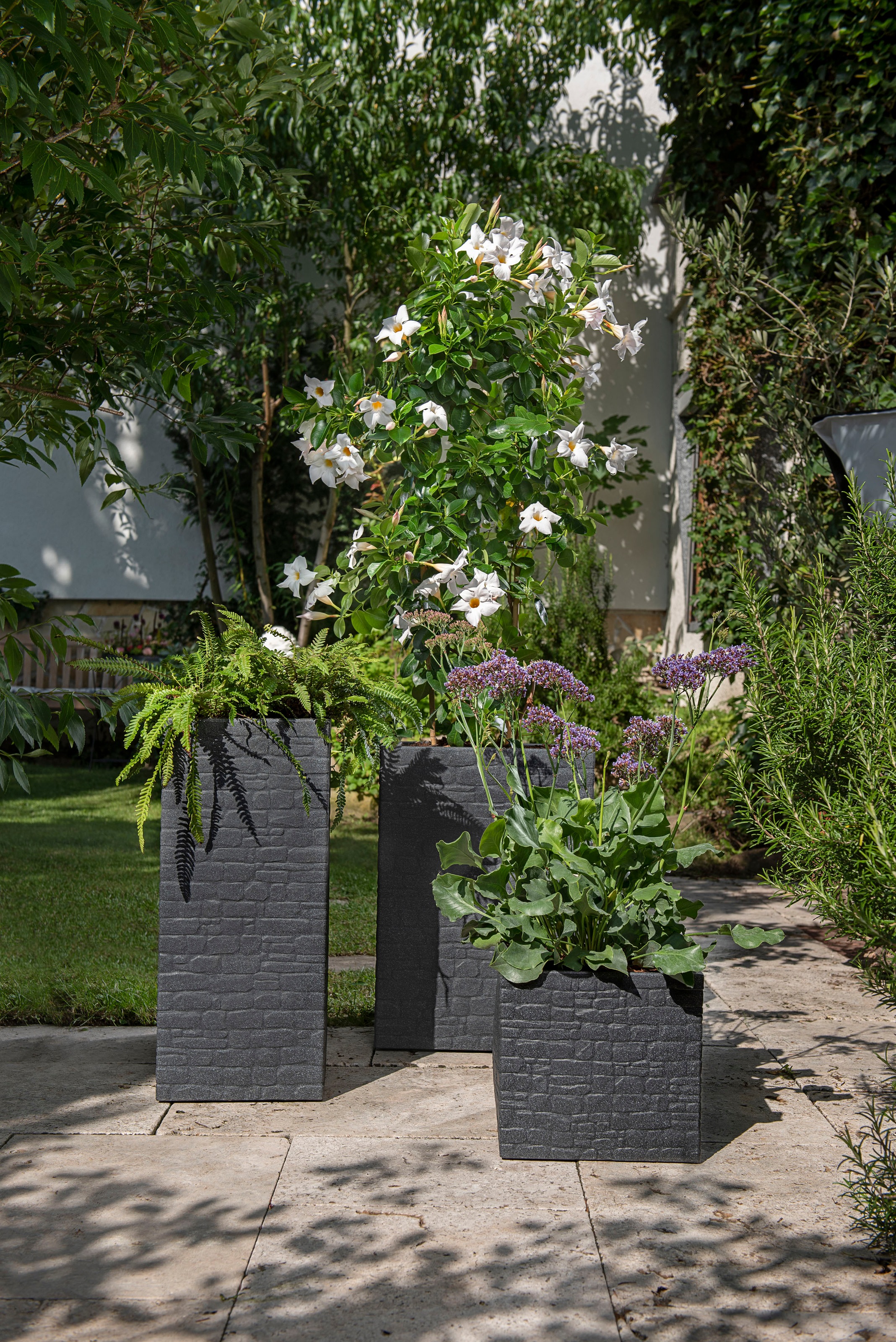 Scheurich Blumentopf »54/247 MURETTO HIGH«