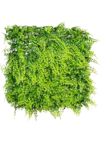 Creativ green Kunstpflanze »Farnmatte«, (1 St.) kaufen