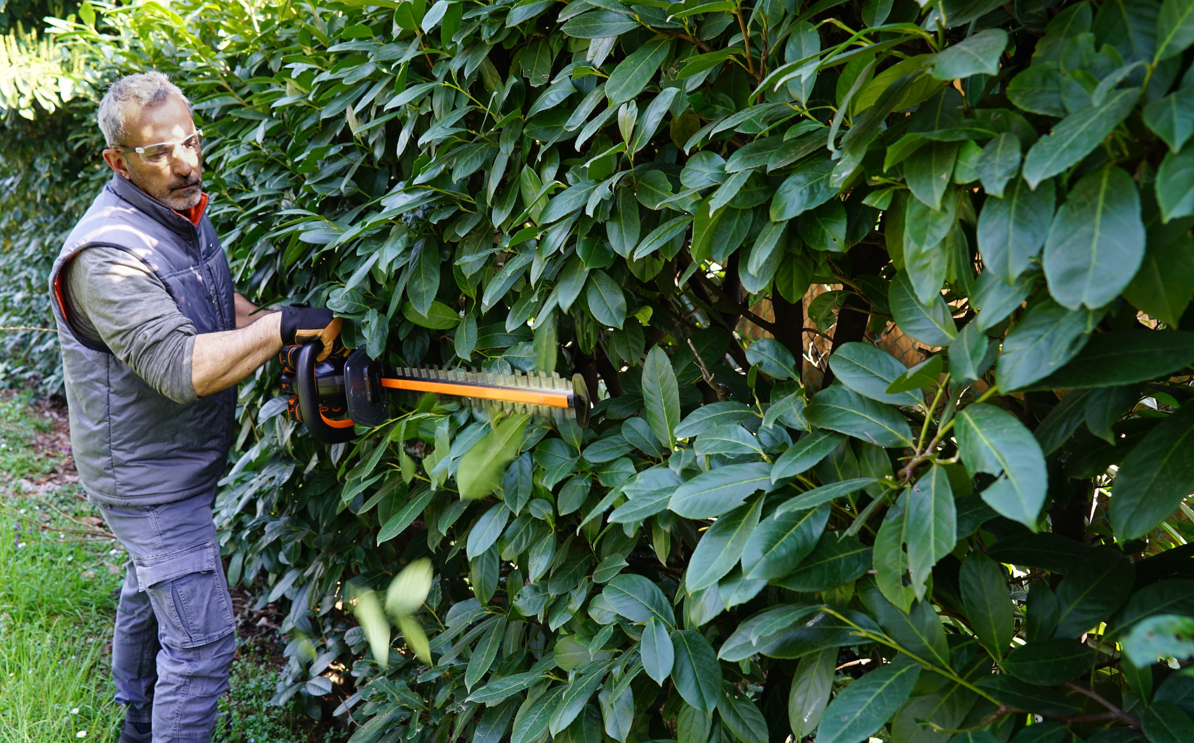 Worx Akku-Heckenschere »WG286E.9 Nitro Profi«, 58 cm Schnittlänge, 27 mm Zahnabstand, ohne Akku und Ladegerät
