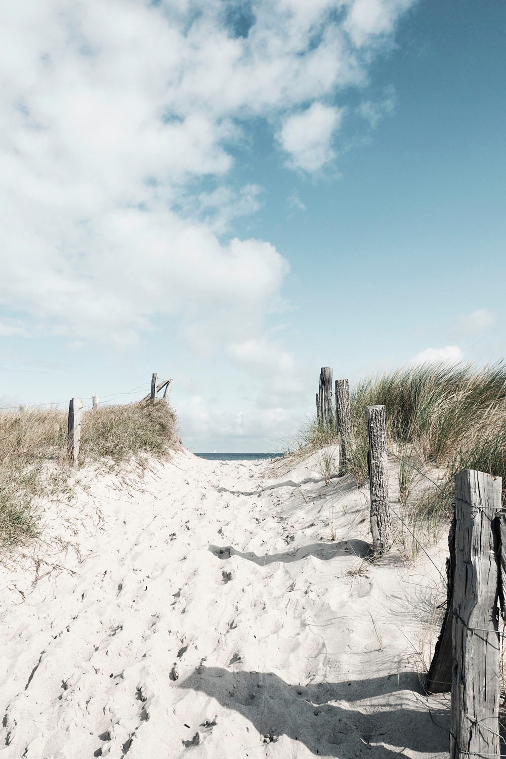 queence Acrylglasbild »Exeter«, Strand-Himmel-Düne-Deutschland-Gräser-Meer- günstig online kaufen