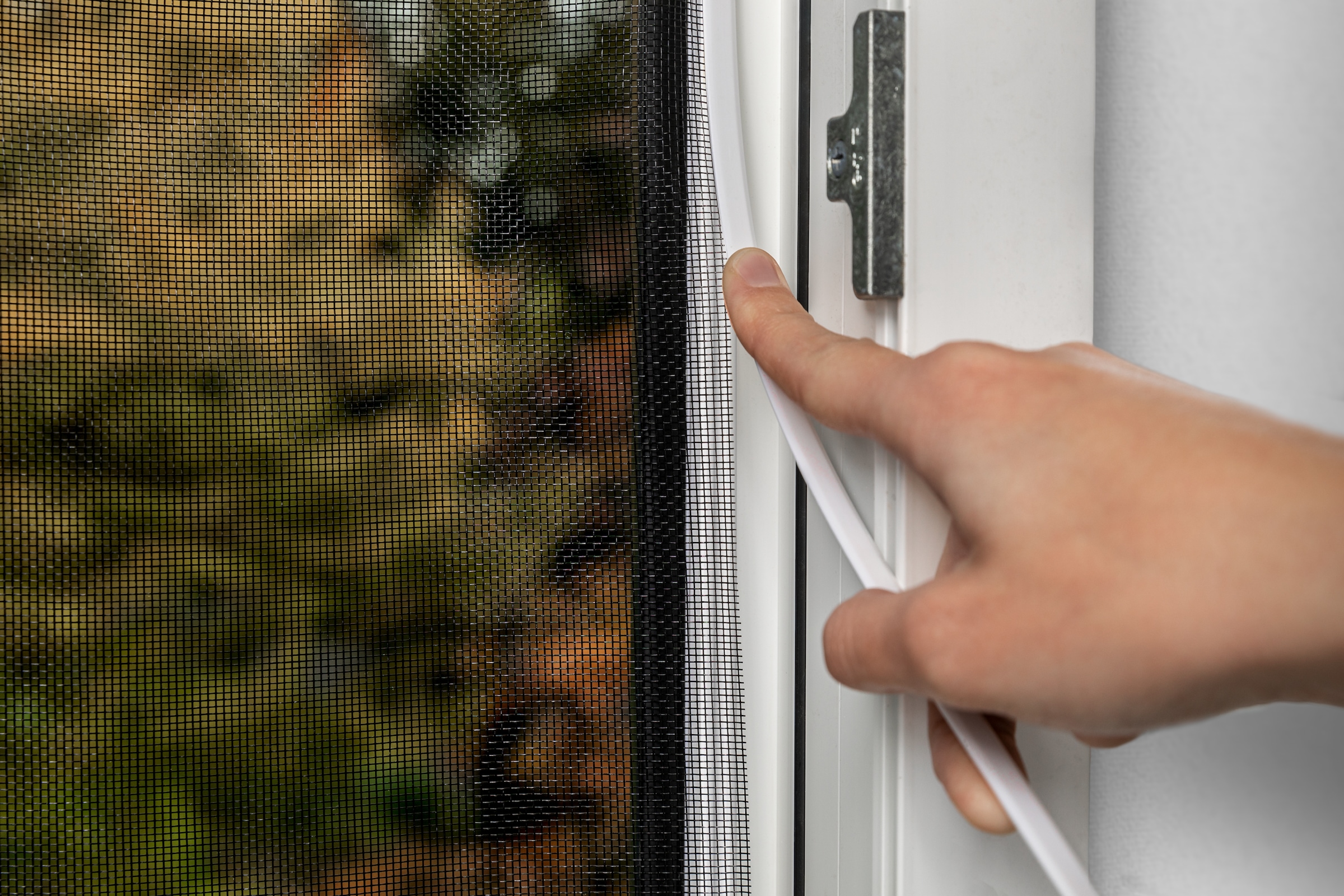 SCHELLENBERG Insektenschutz-Fensterrahmen »Easy Click mit Fiberglasgewebe ohne bohren«, Fliegengitter zum Einklicken, 100 x 150 cm und 130 x 150 cm, weiß