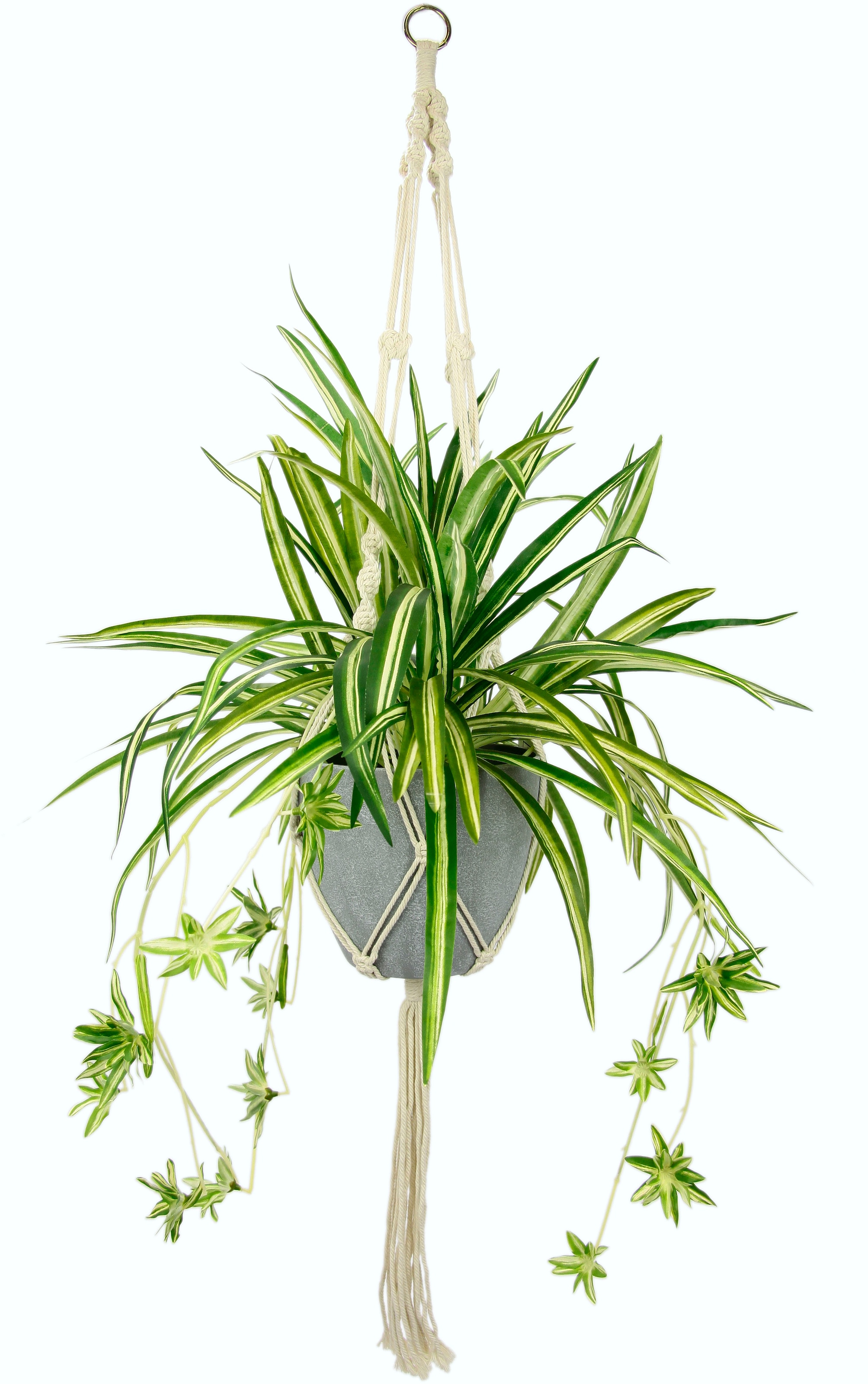 I.GE.A. Künstliche kaufen im St.), online mit Hängeampel »Wasserlilie«, (1 Zimmerpflanze Kunststofftopf