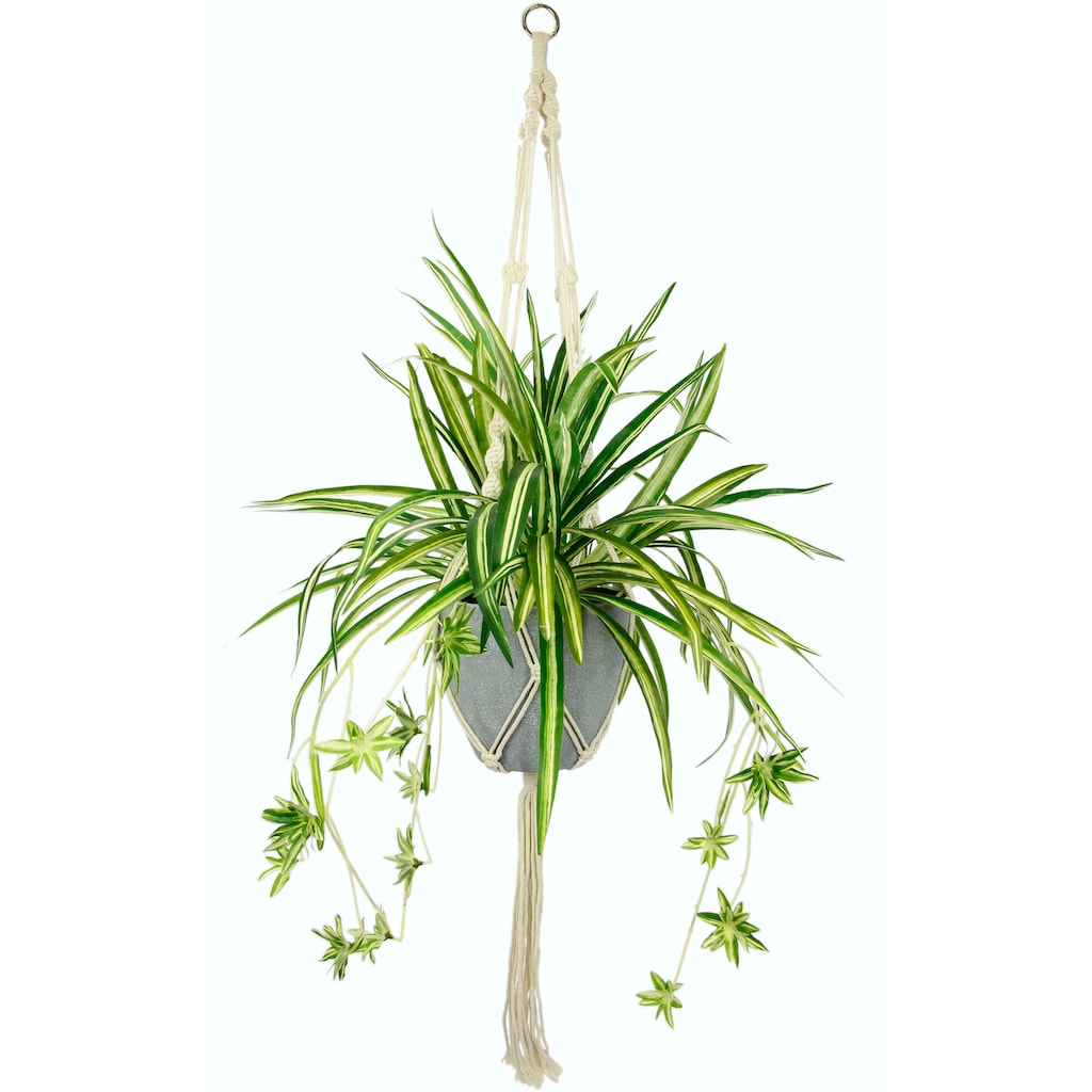 I.GE.A. Künstliche Zimmerpflanze »Wasserlilie«