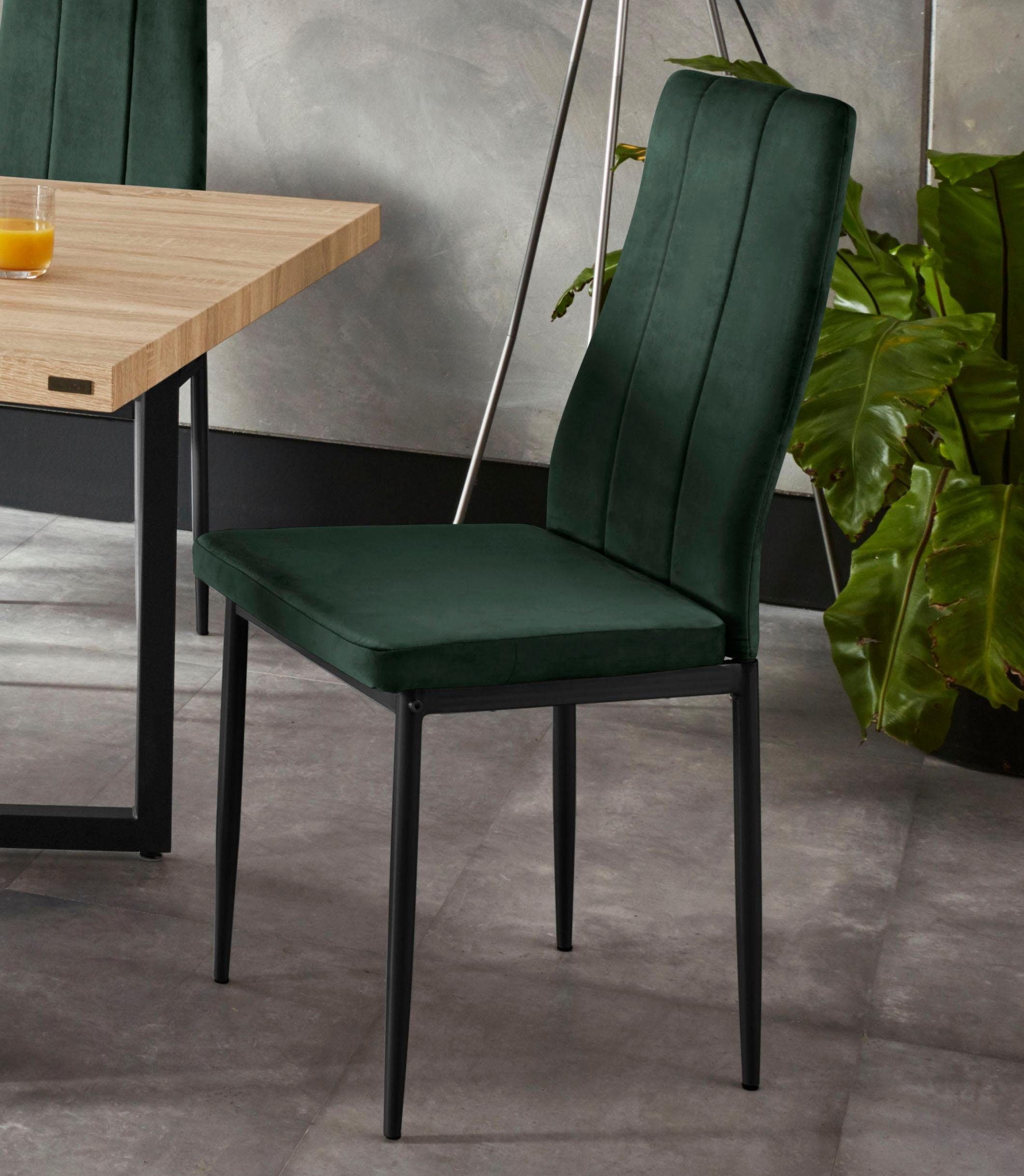INOSIGN Esszimmerstuhl »Remus«, (Set), 4 St., Samtvelours, im 1er,2er und 4 günstig online kaufen