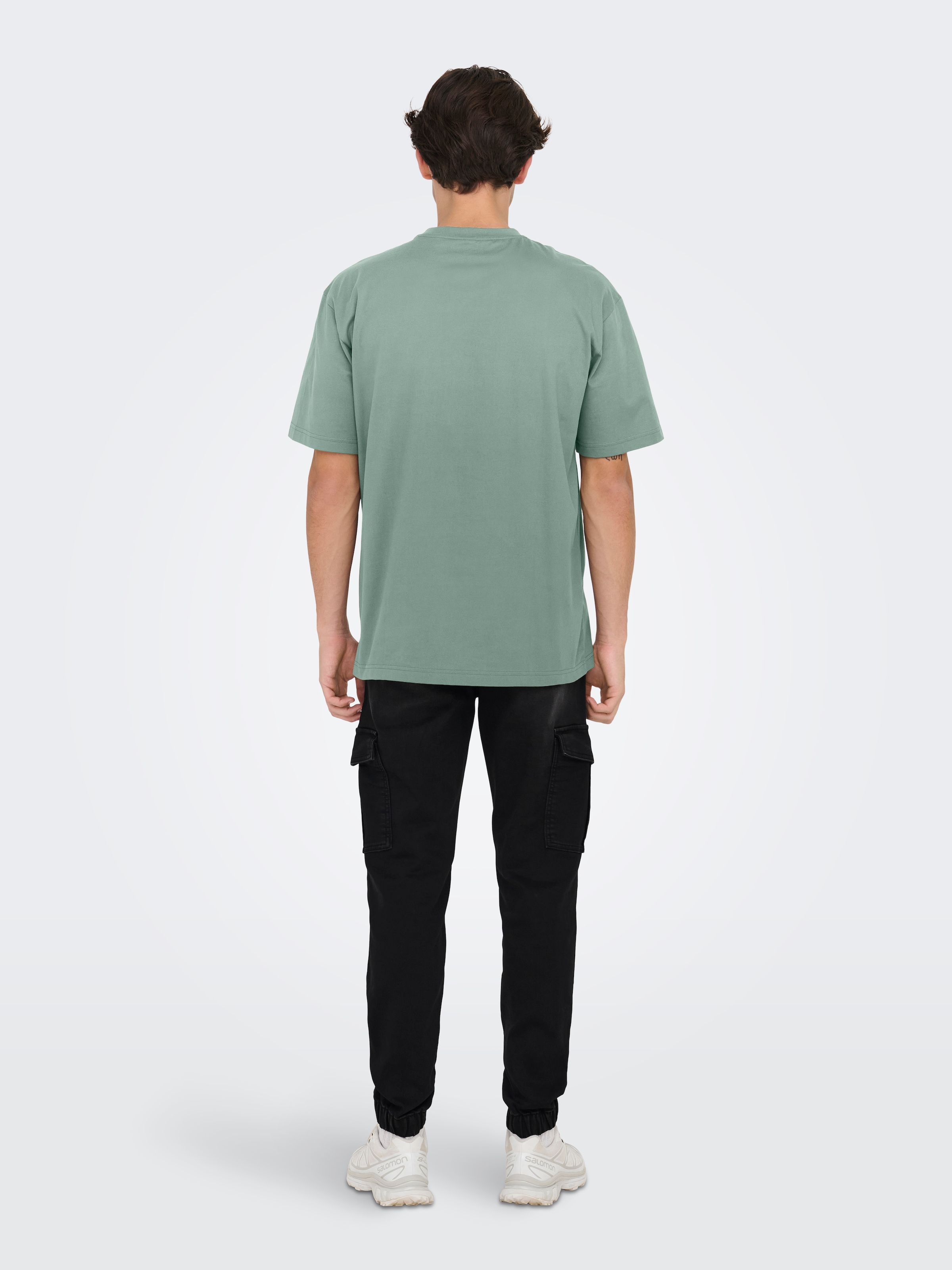ONLY & SONS Rundhalsshirt »ONSFRED RLX SS TEE«