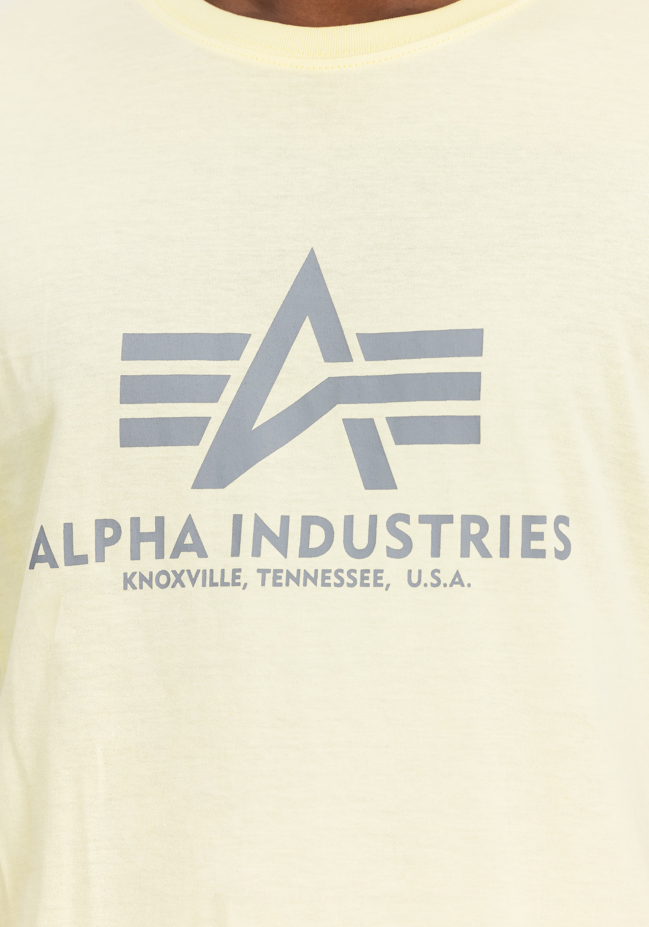 Alpha Industries T-Shirt »Basic T-Shirt BL T-Shirt«