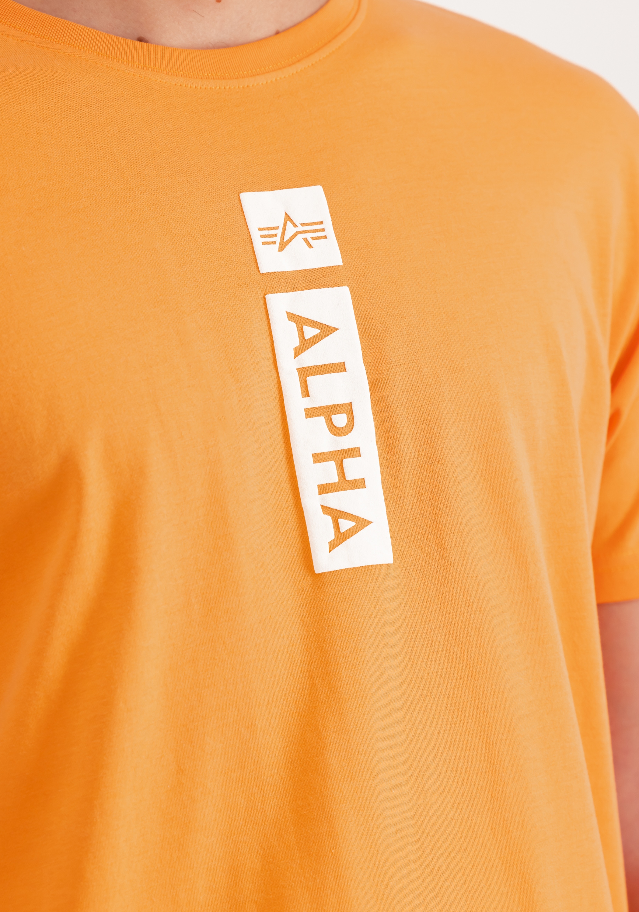 Alpha Industries T-Shirt »Alpha Industries Men - T-Shirts Alpha Puff Print T«