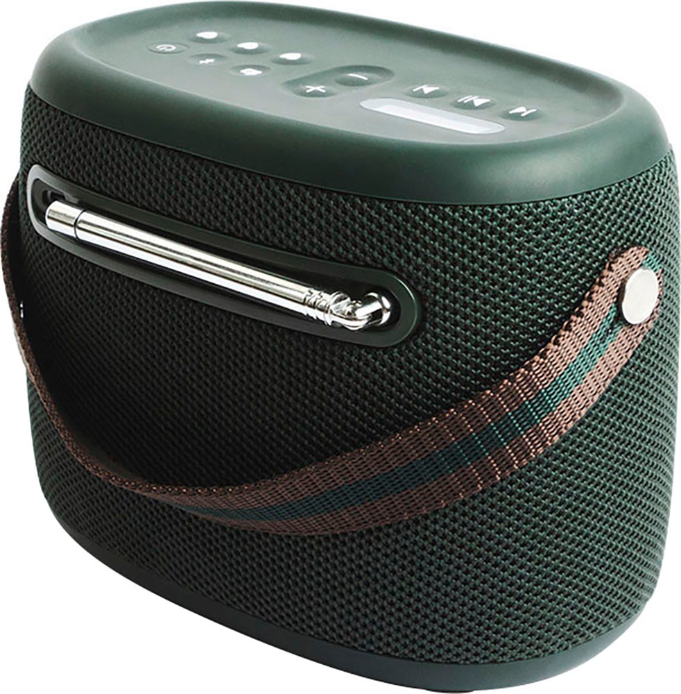 Pure Portable-Lautsprecher »Woodland«