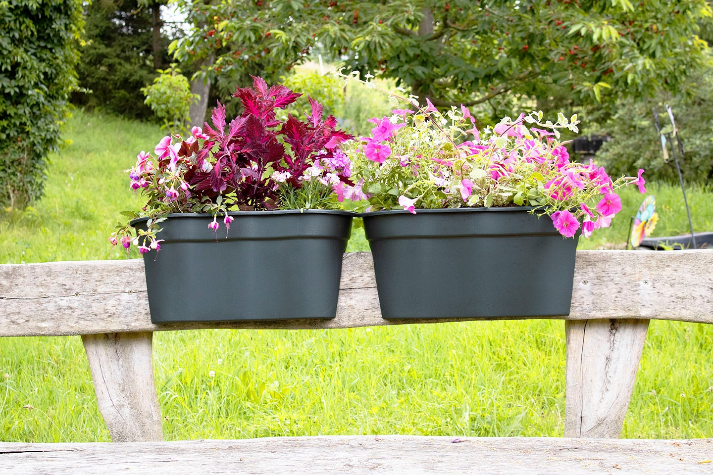 KHW Balkonkasten »Flowerclip XXL« BxTxH: 57,5x27,7x27 cm