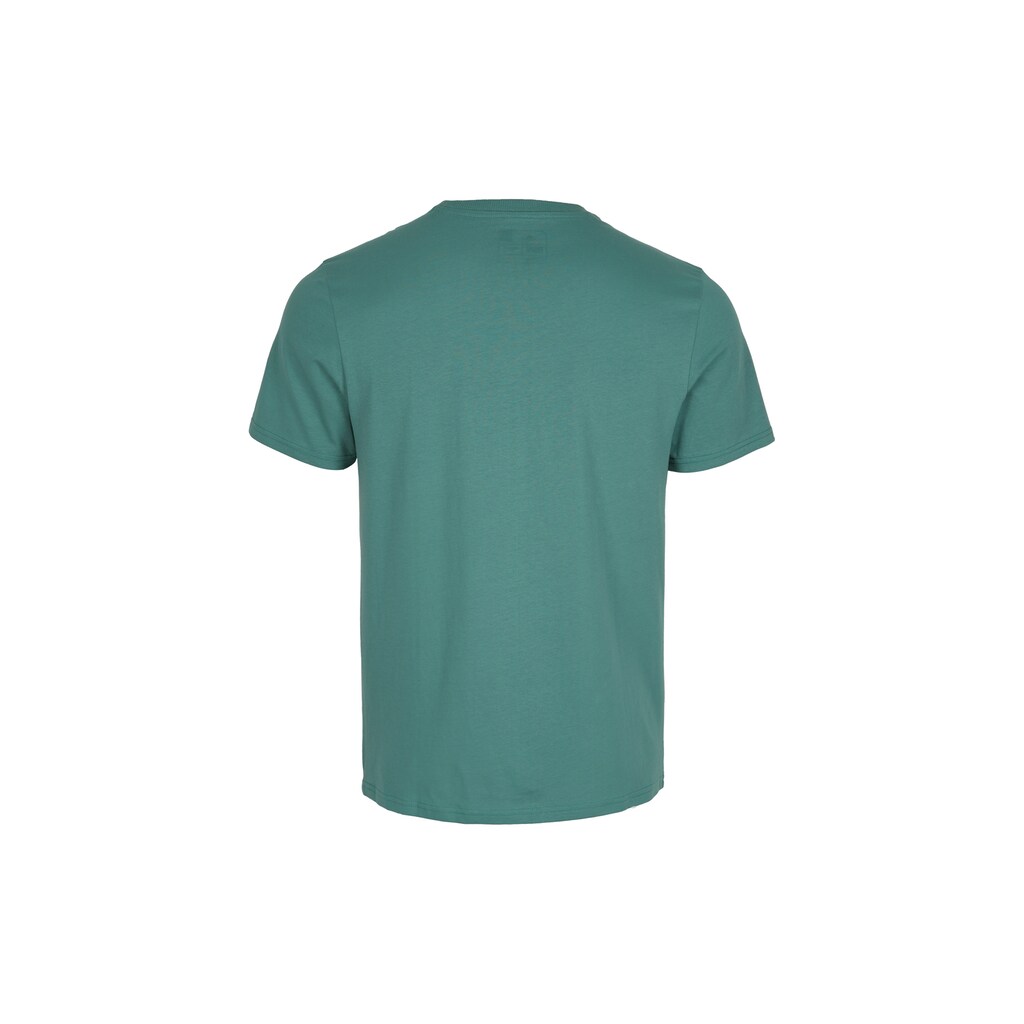 O'Neill T-Shirt »SWELL T-SHIRT«